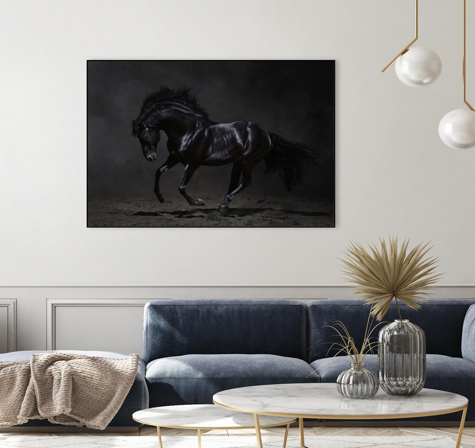 Onyx by PhotoINC Studio on GIANT ART - multicolor photography; animals