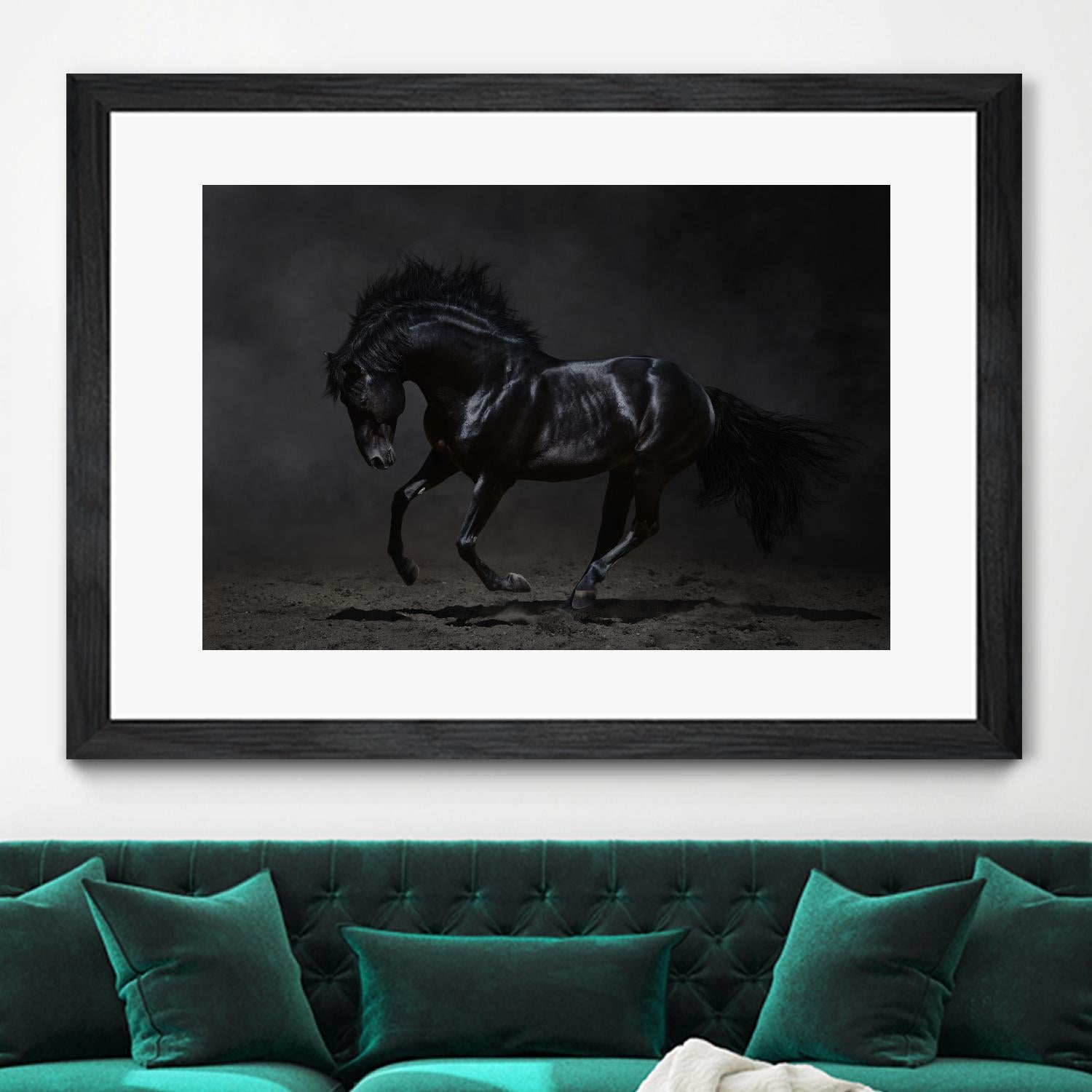 Onyx by PhotoINC Studio on GIANT ART - multicolor photography; animals