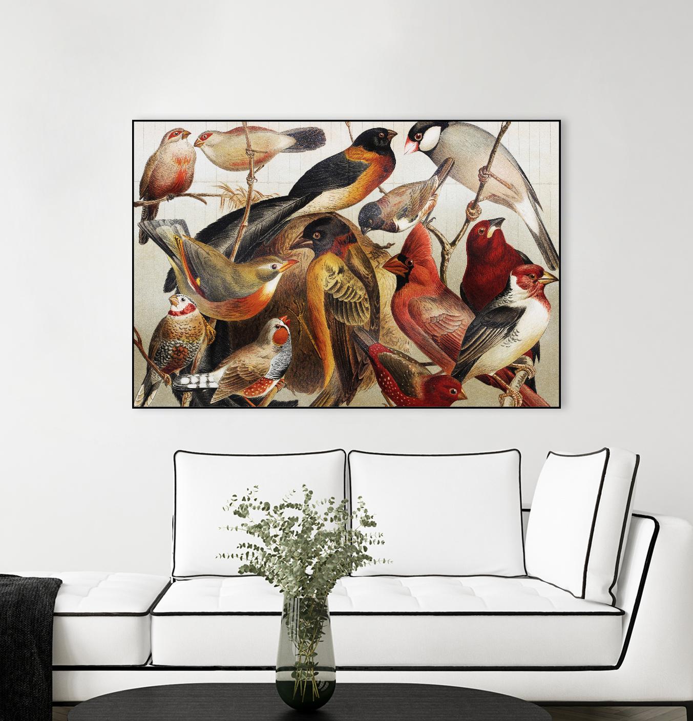 Collection II by PhotoINC Studio on GIANT ART - multicolor animals