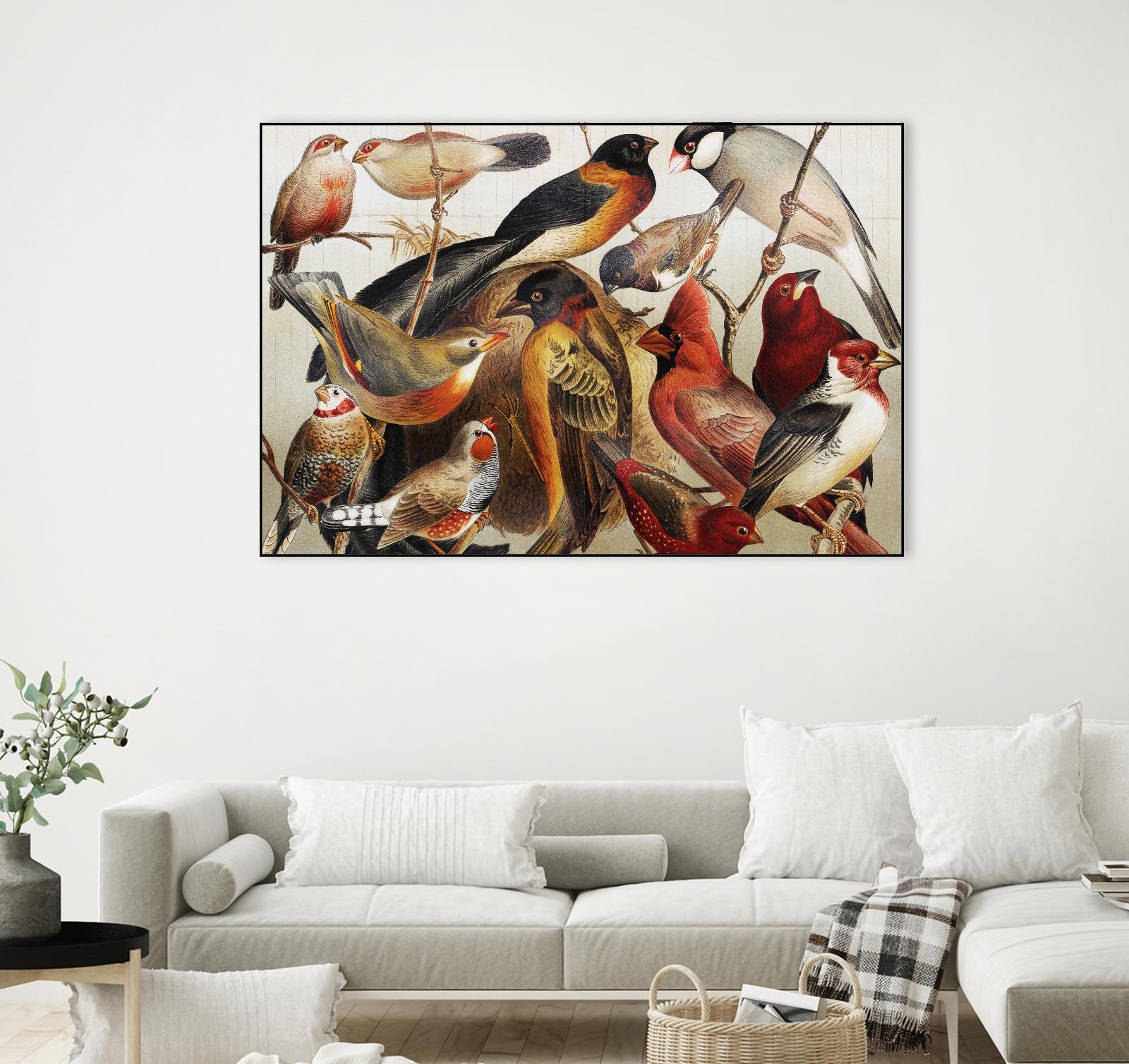 Collection II by PhotoINC Studio on GIANT ART - multicolor animals