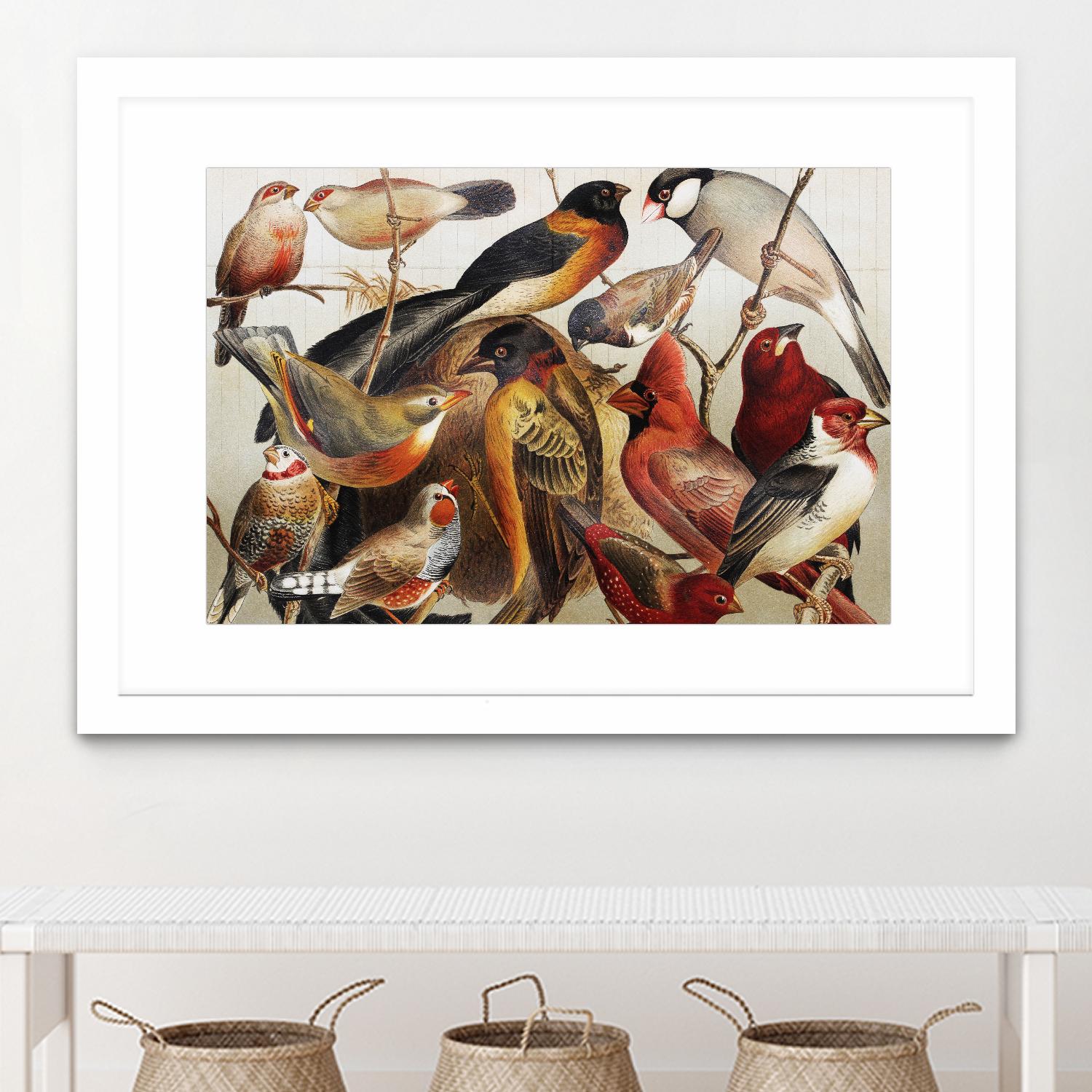 Collection II by PhotoINC Studio on GIANT ART - multicolor animals