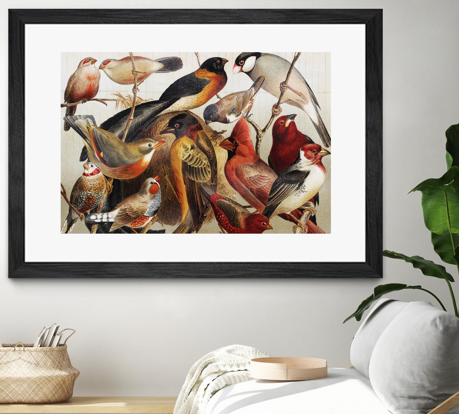 Collection II by PhotoINC Studio on GIANT ART - multicolor animals