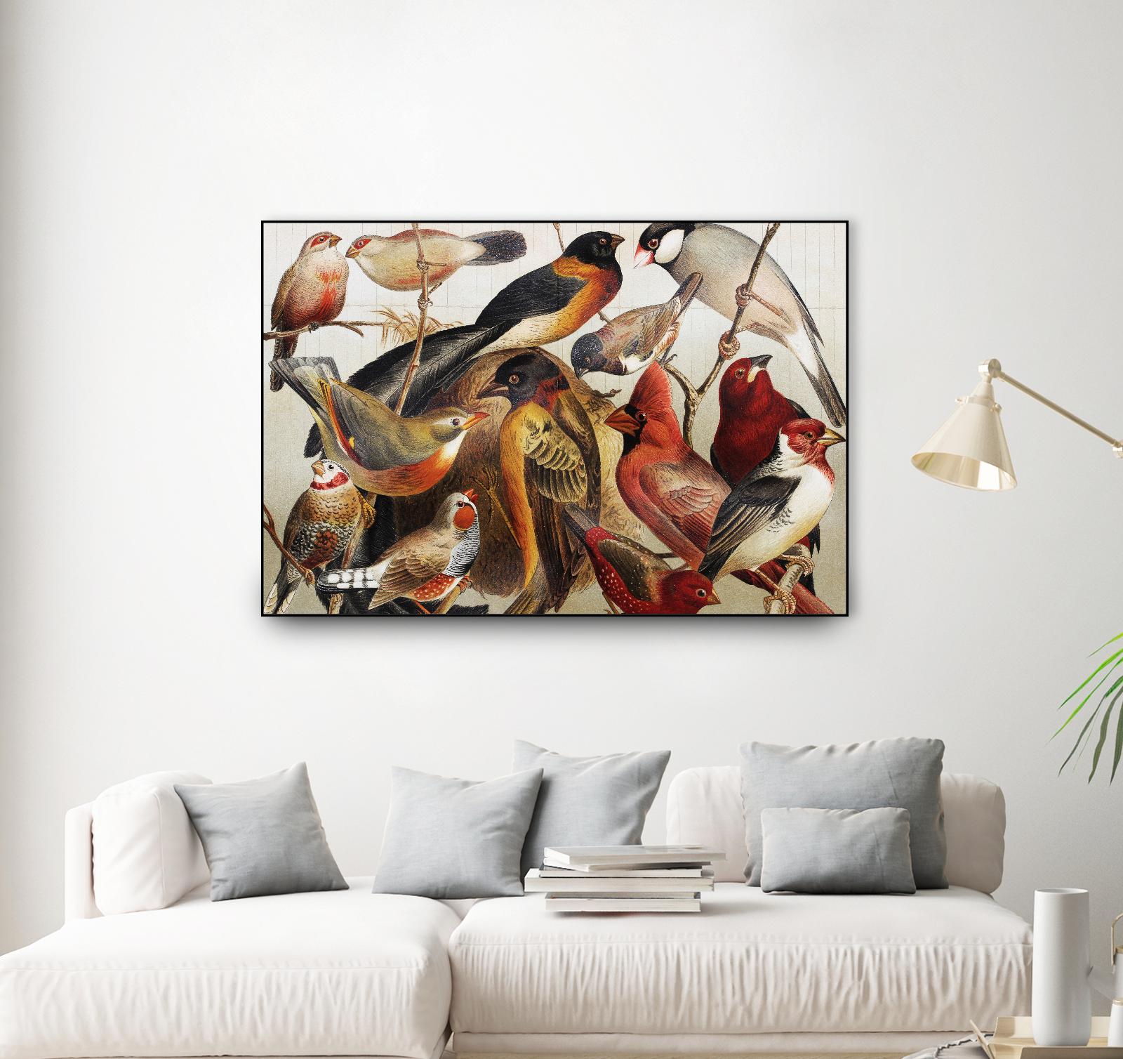 Collection II by PhotoINC Studio on GIANT ART - multicolor animals