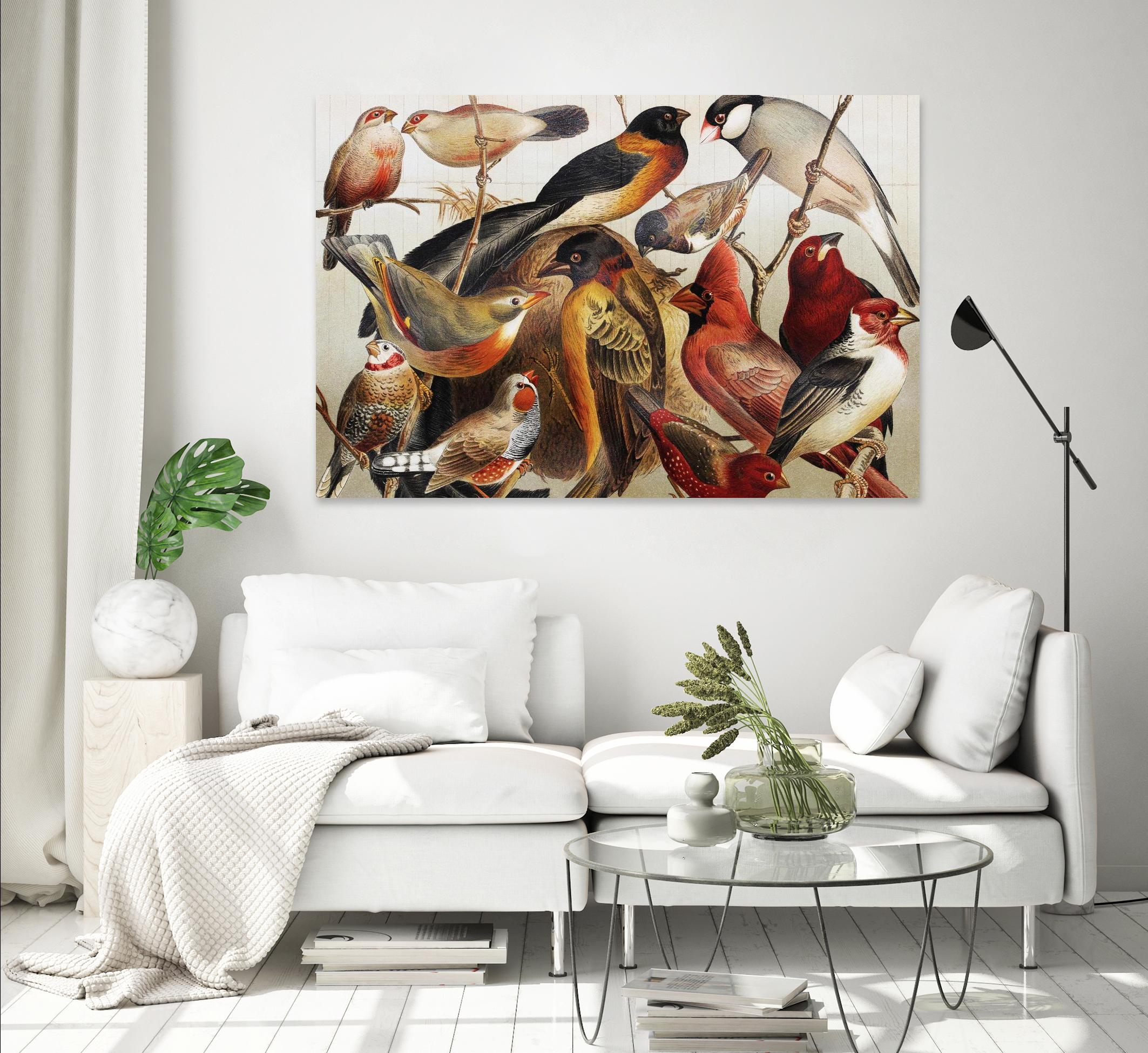 Collection II by PhotoINC Studio on GIANT ART - multicolor animals