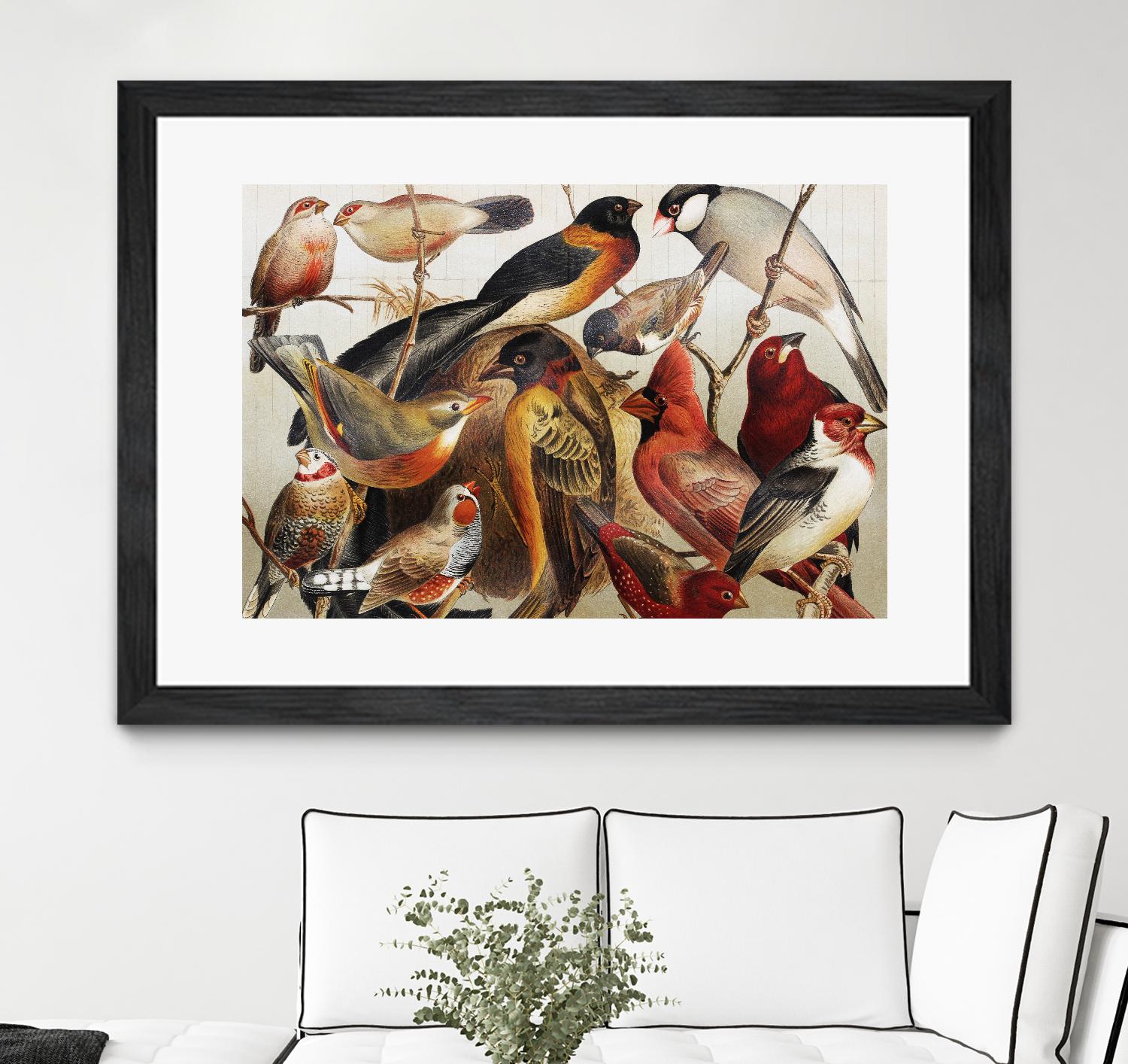 Collection II by PhotoINC Studio on GIANT ART - multicolor animals