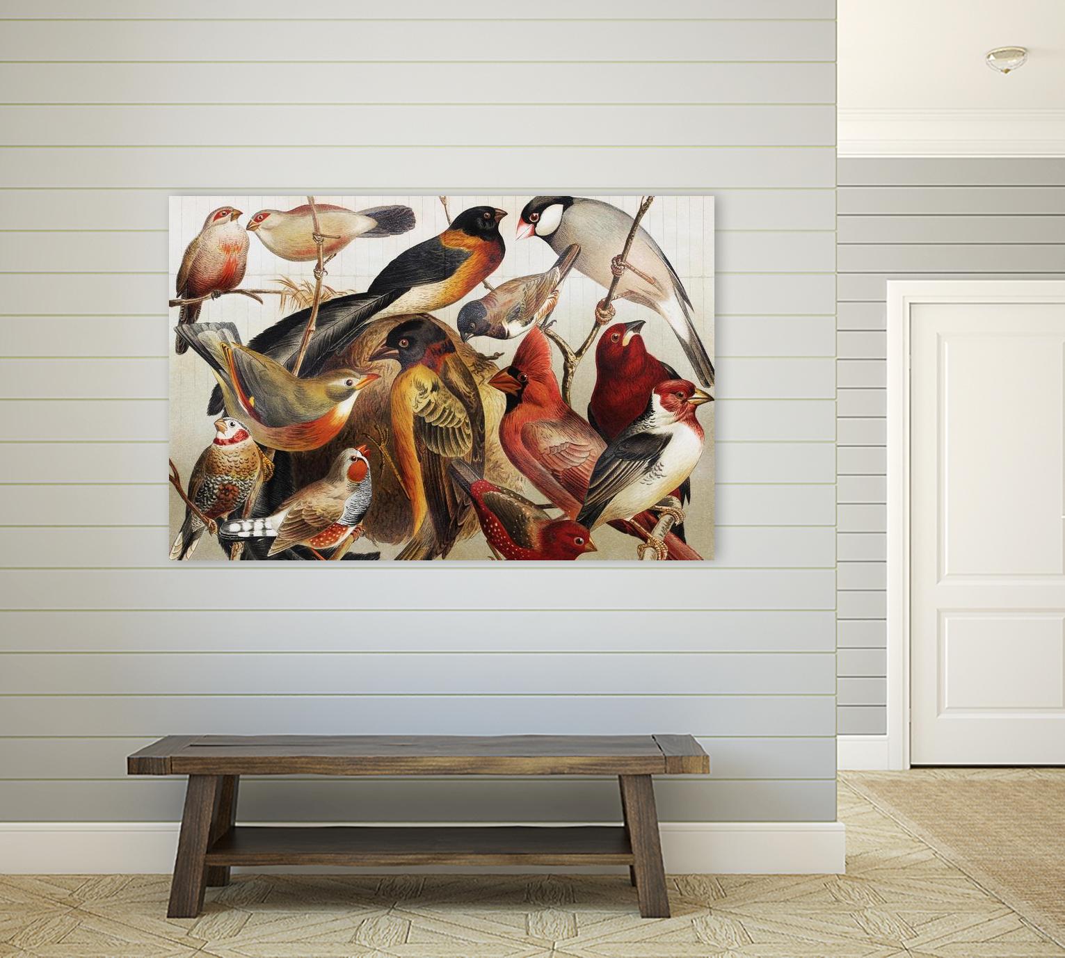 Collection II by PhotoINC Studio on GIANT ART - multicolor animals