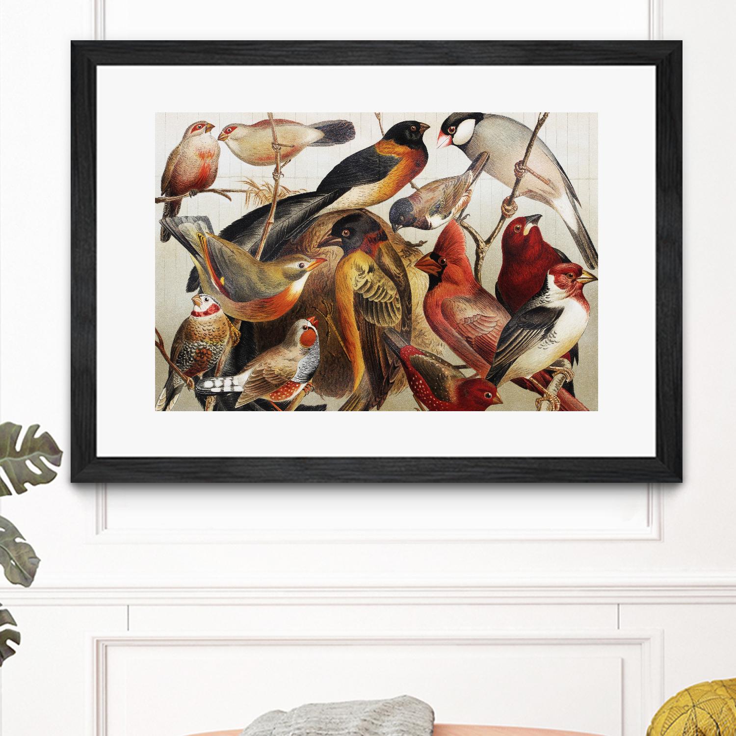 Collection II by PhotoINC Studio on GIANT ART - multicolor animals