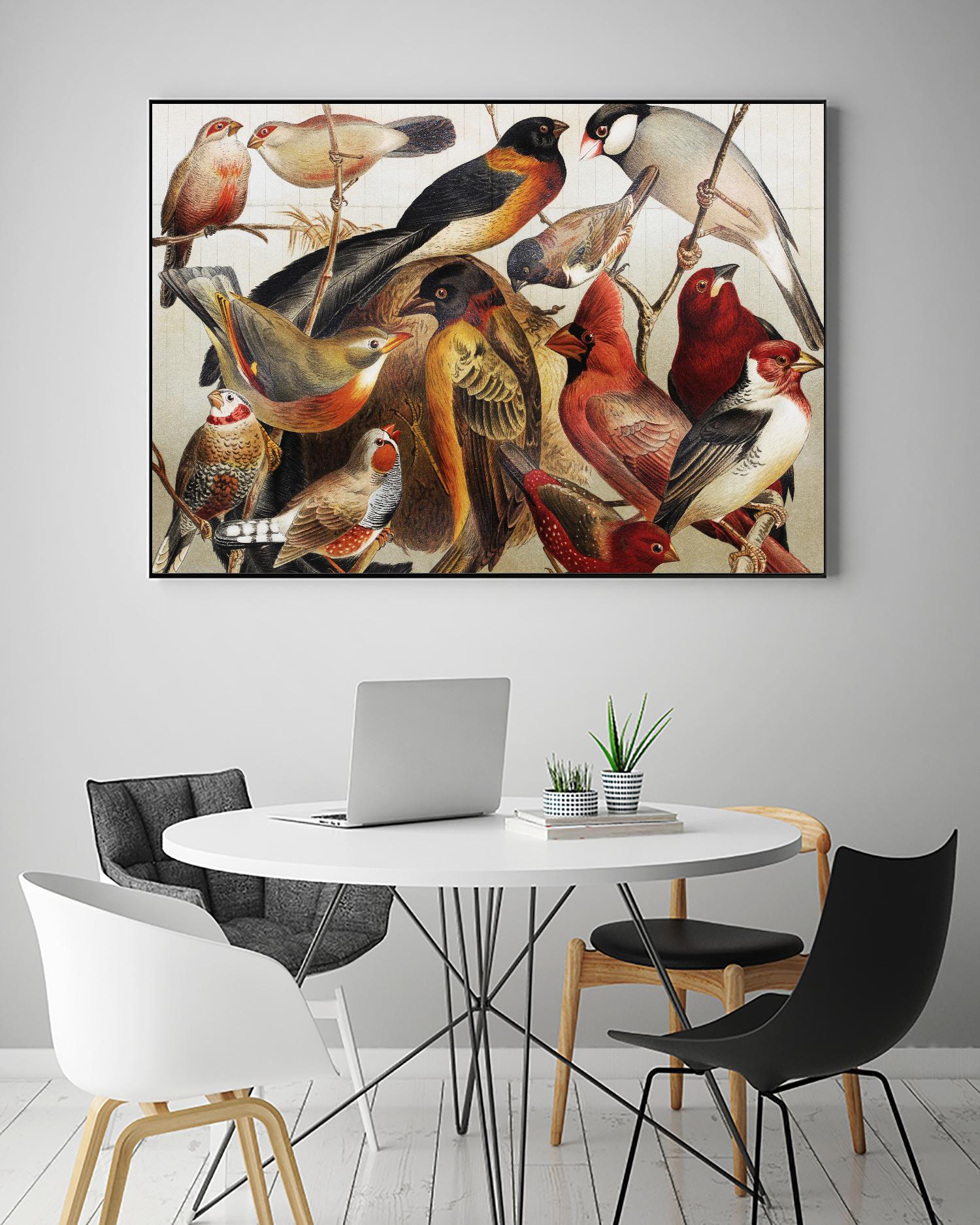 Collection II by PhotoINC Studio on GIANT ART - multicolor animals