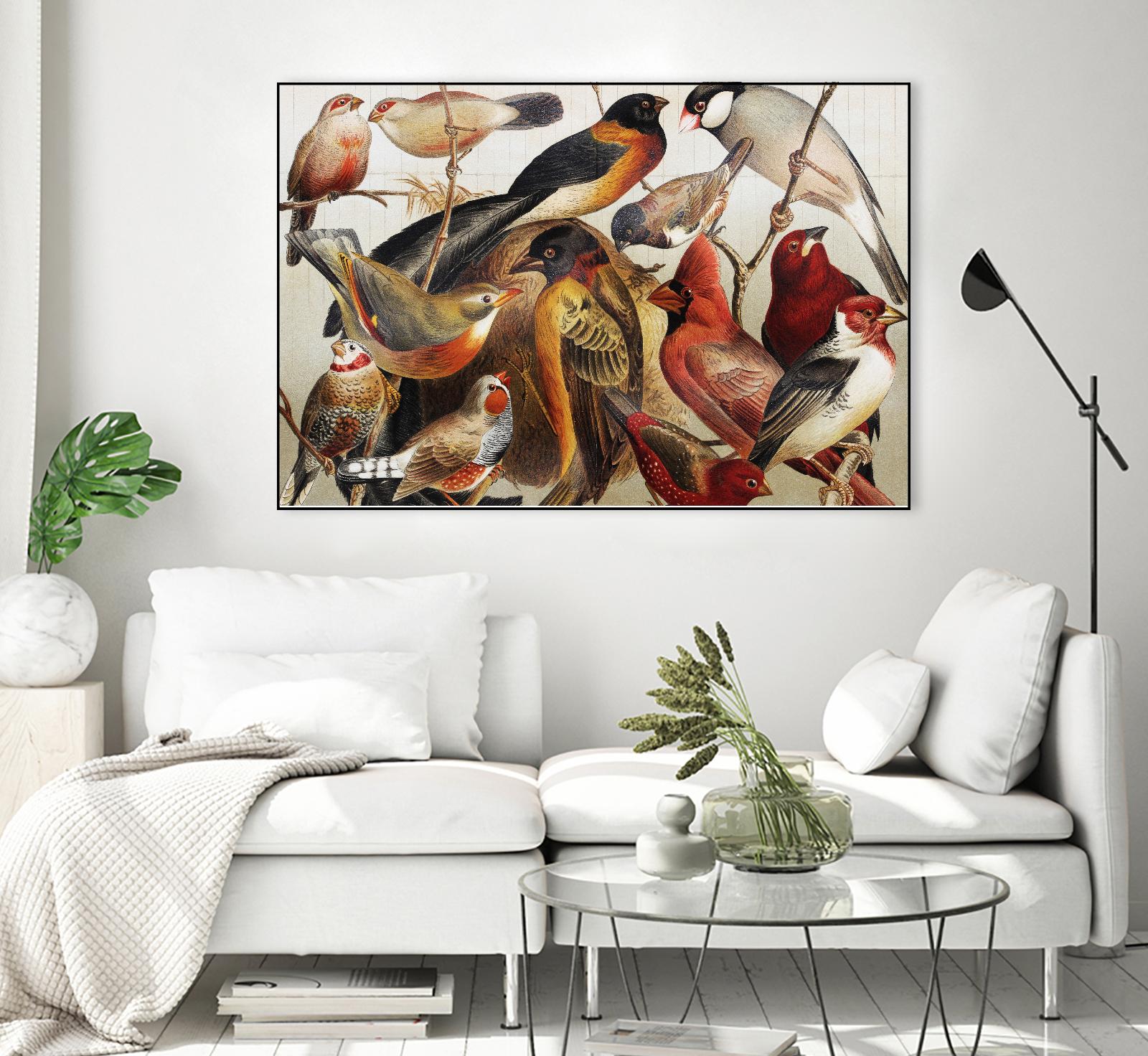 Collection II by PhotoINC Studio on GIANT ART - multicolor animals