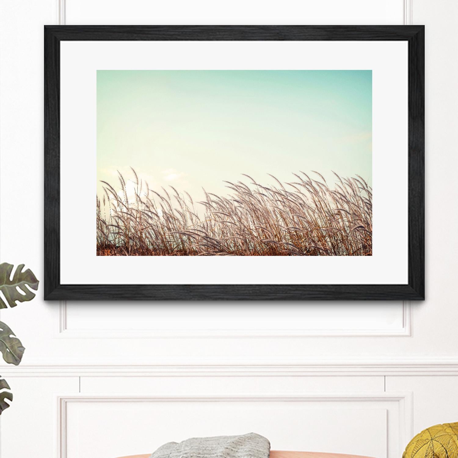 Retro Grass by PhotoINC Studio on GIANT ART - multicolor photography; landscapes
