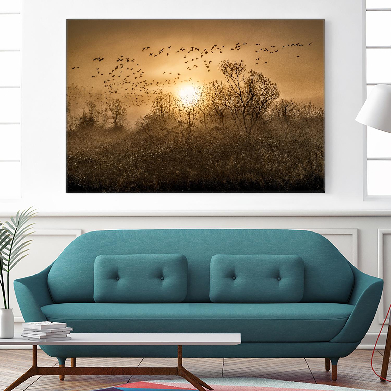 The Flight by Vladimir Kostka on GIANT ART - multicolor photography; landscapes