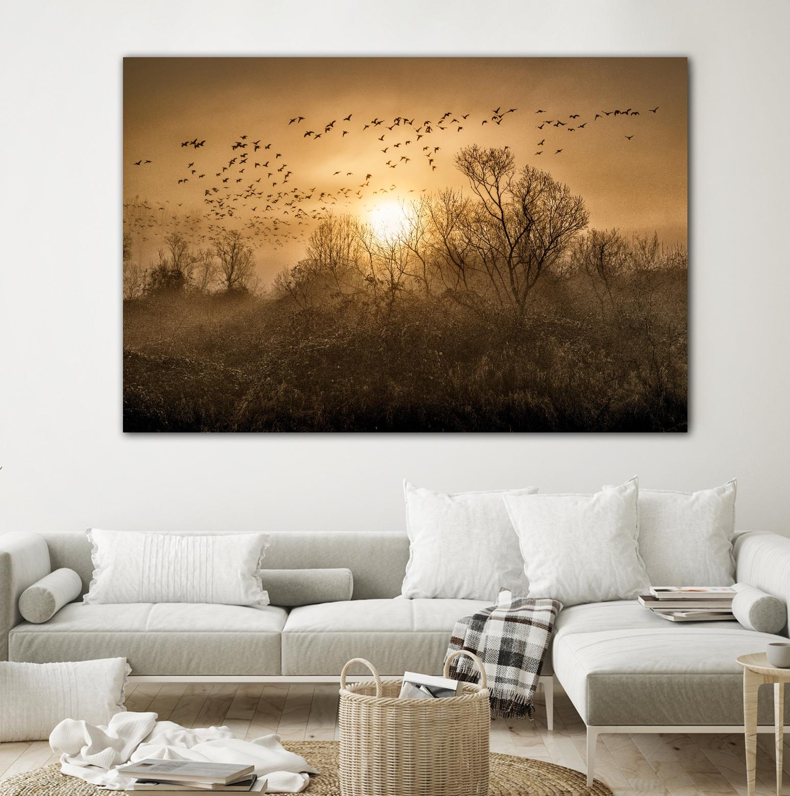 The Flight by Vladimir Kostka on GIANT ART - multicolor photography; landscapes