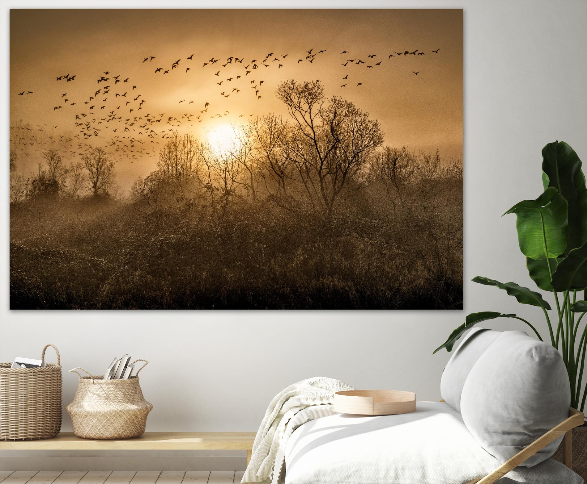 The Flight by Vladimir Kostka on GIANT ART - multicolor photography; landscapes