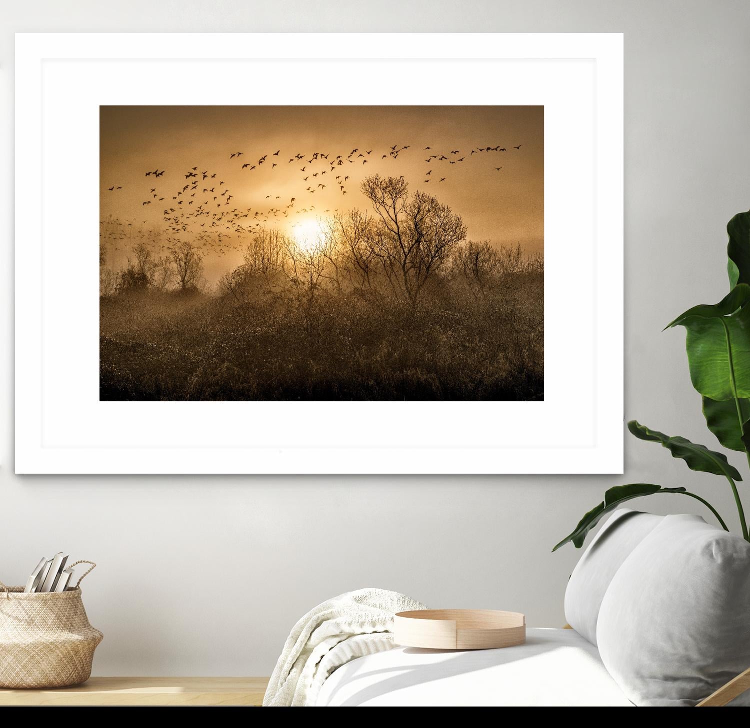 The Flight by Vladimir Kostka on GIANT ART - multicolor photography; landscapes