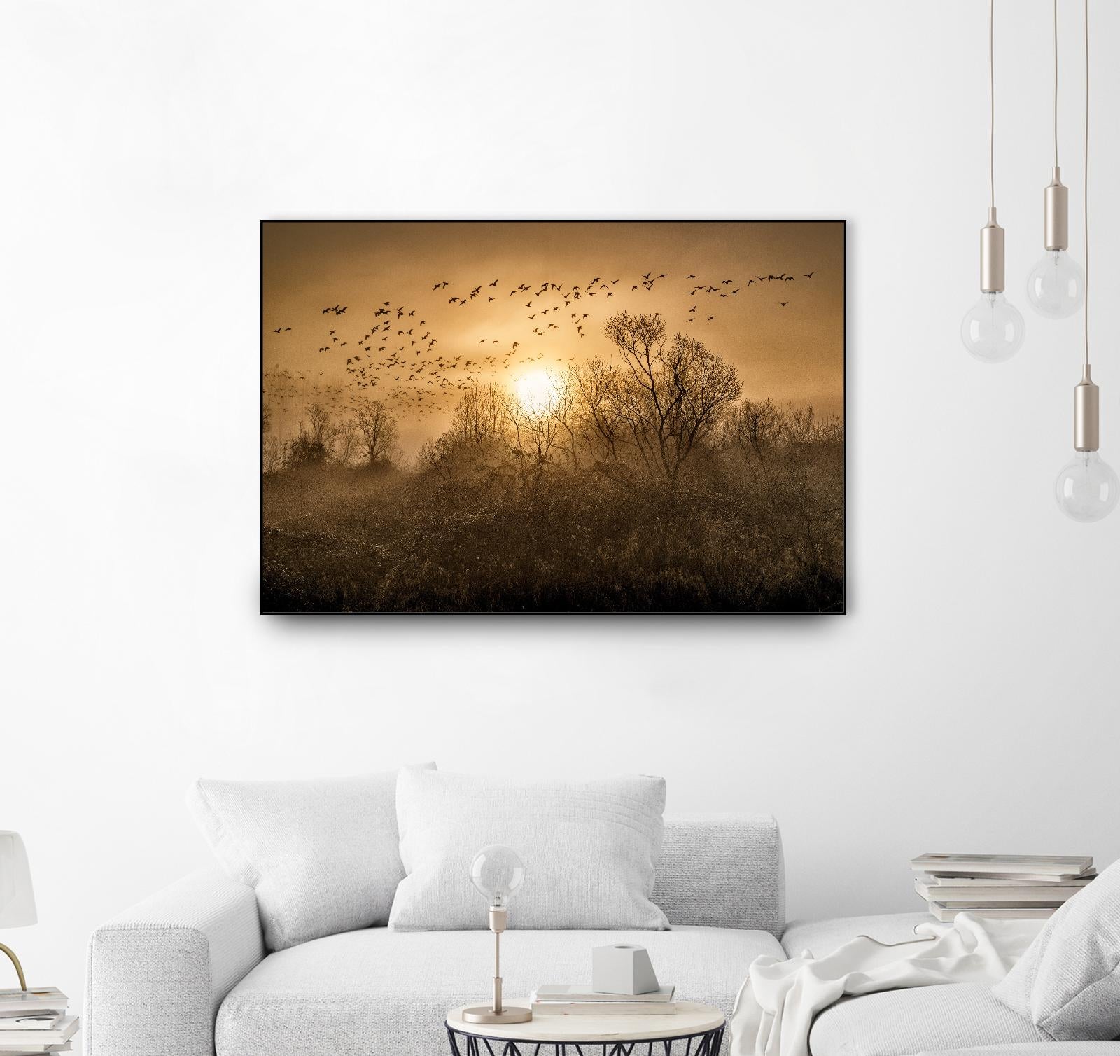 The Flight by Vladimir Kostka on GIANT ART - multicolor photography; landscapes