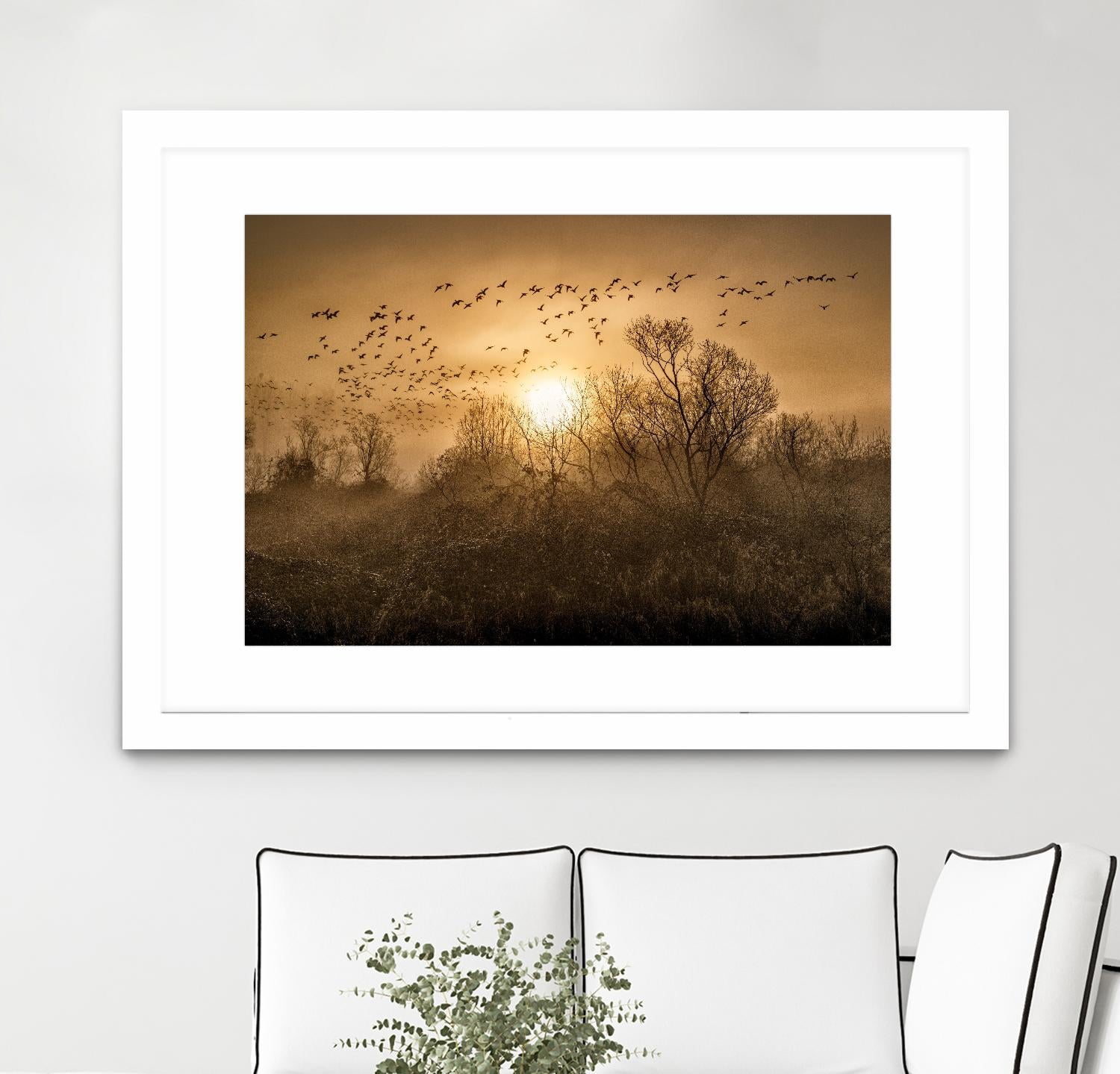 The Flight by Vladimir Kostka on GIANT ART - multicolor photography; landscapes