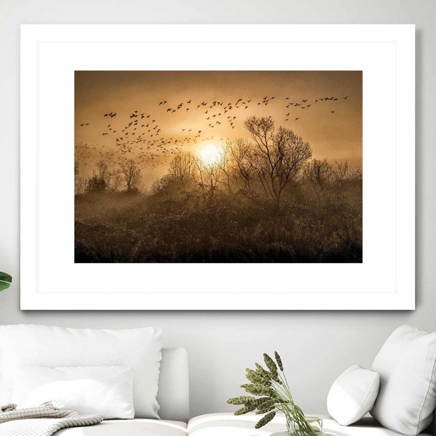 The Flight by Vladimir Kostka on GIANT ART - multicolor photography; landscapes