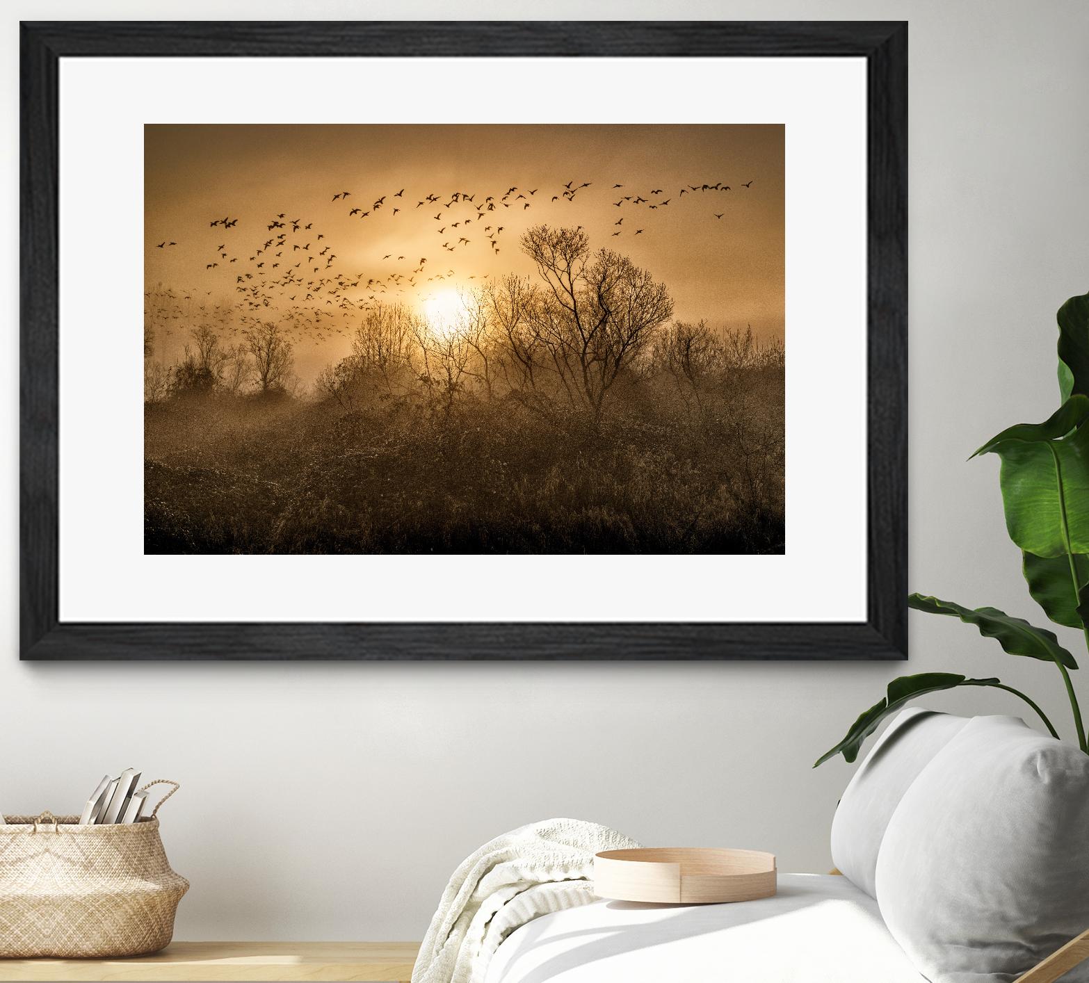 The Flight by Vladimir Kostka on GIANT ART - multicolor photography; landscapes