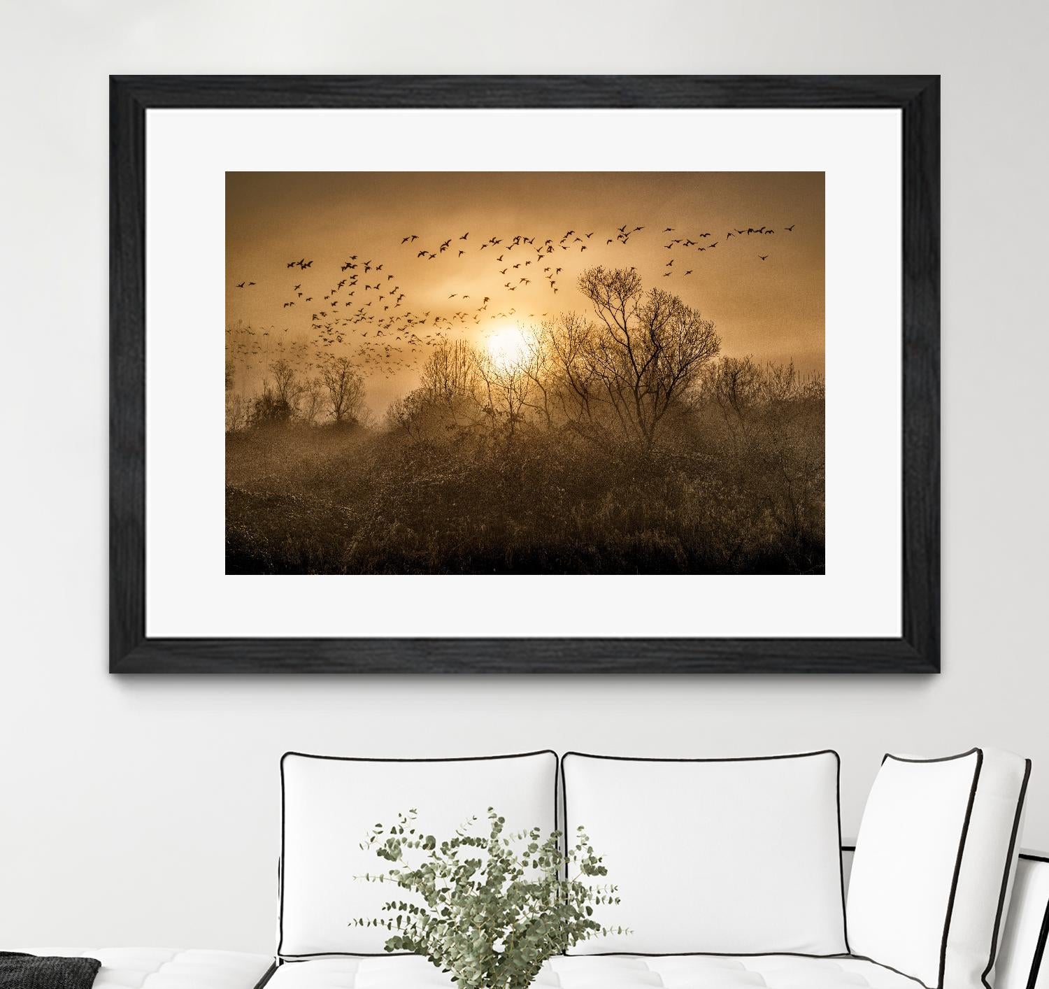 The Flight by Vladimir Kostka on GIANT ART - multicolor photography; landscapes