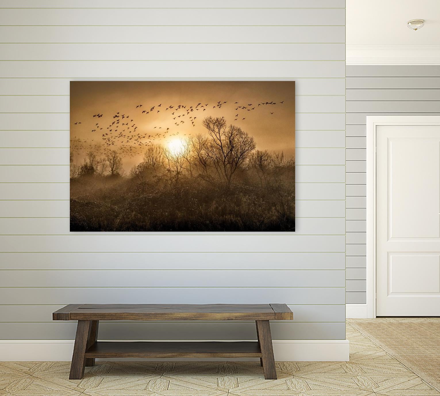 The Flight by Vladimir Kostka on GIANT ART - multicolor photography; landscapes