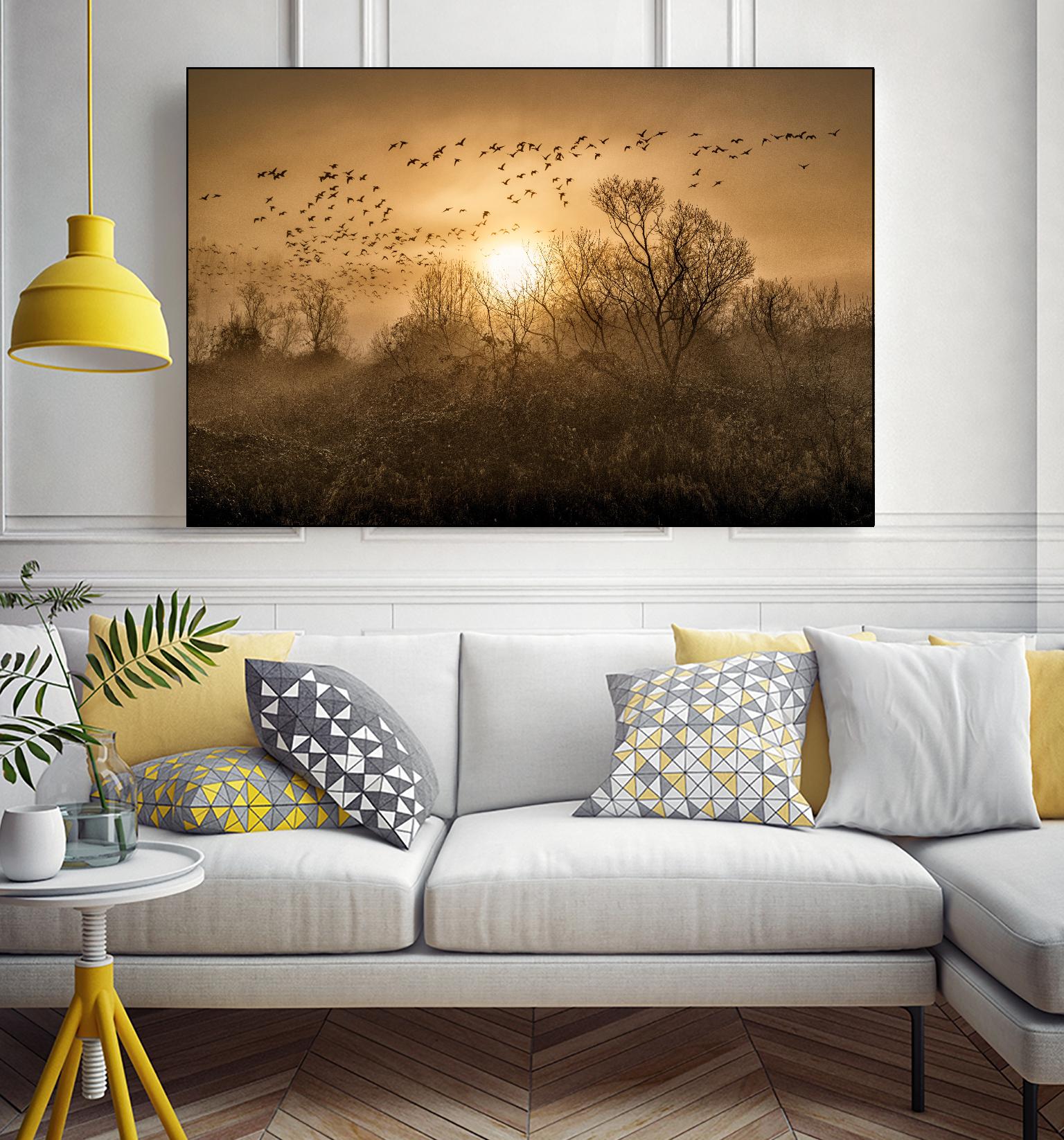 The Flight by Vladimir Kostka on GIANT ART - multicolor photography; landscapes