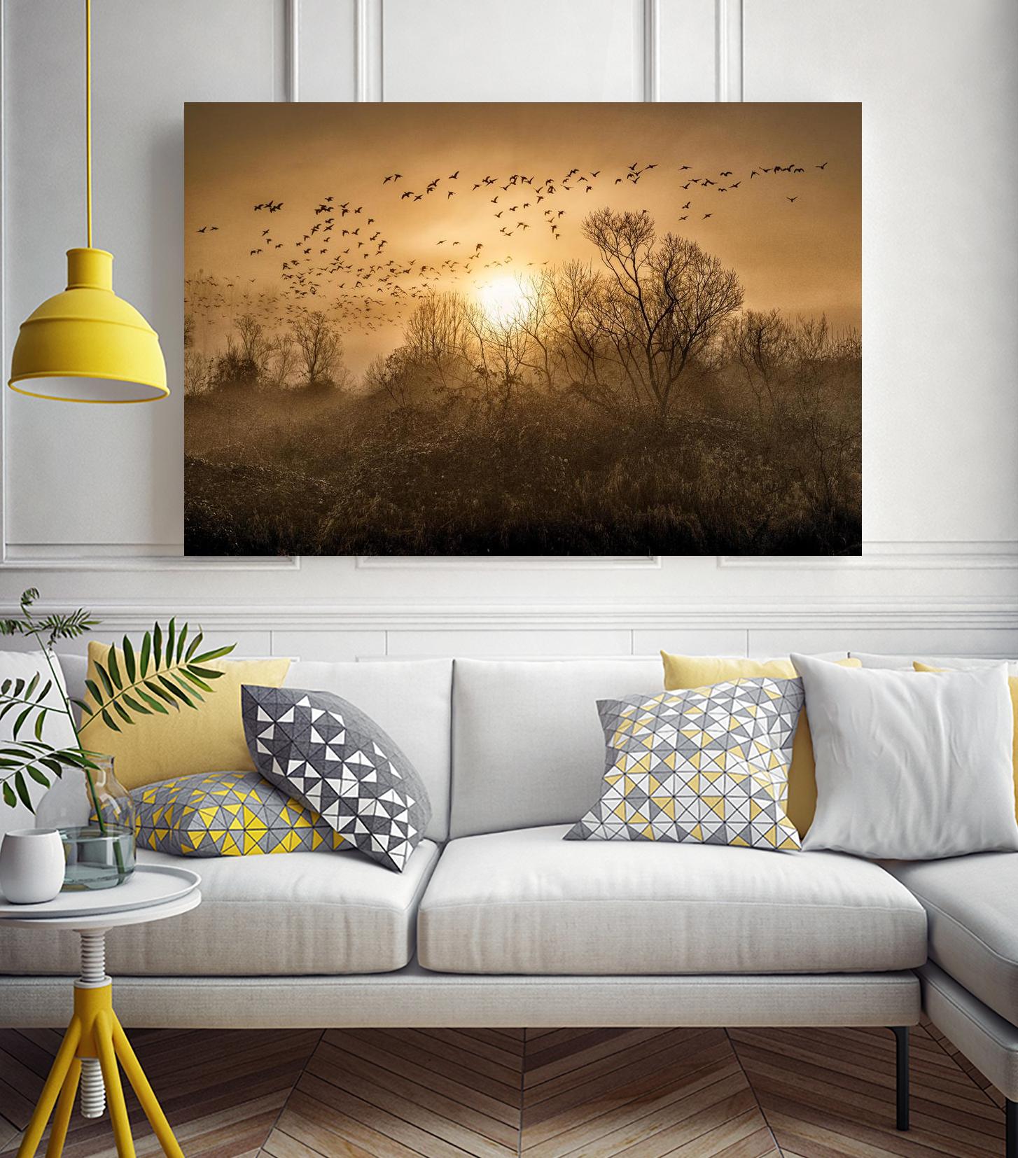 The Flight by Vladimir Kostka on GIANT ART - multicolor photography; landscapes