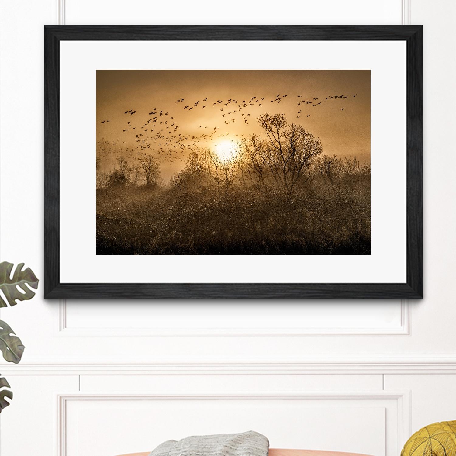 The Flight by Vladimir Kostka on GIANT ART - multicolor photography; landscapes