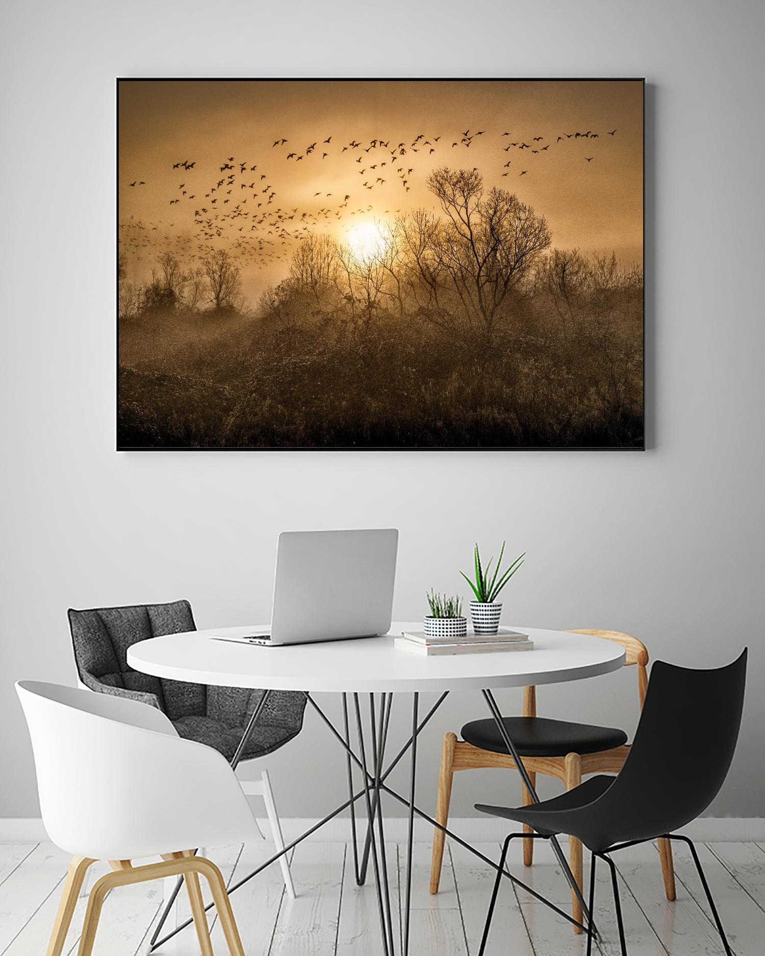 The Flight by Vladimir Kostka on GIANT ART - multicolor photography; landscapes