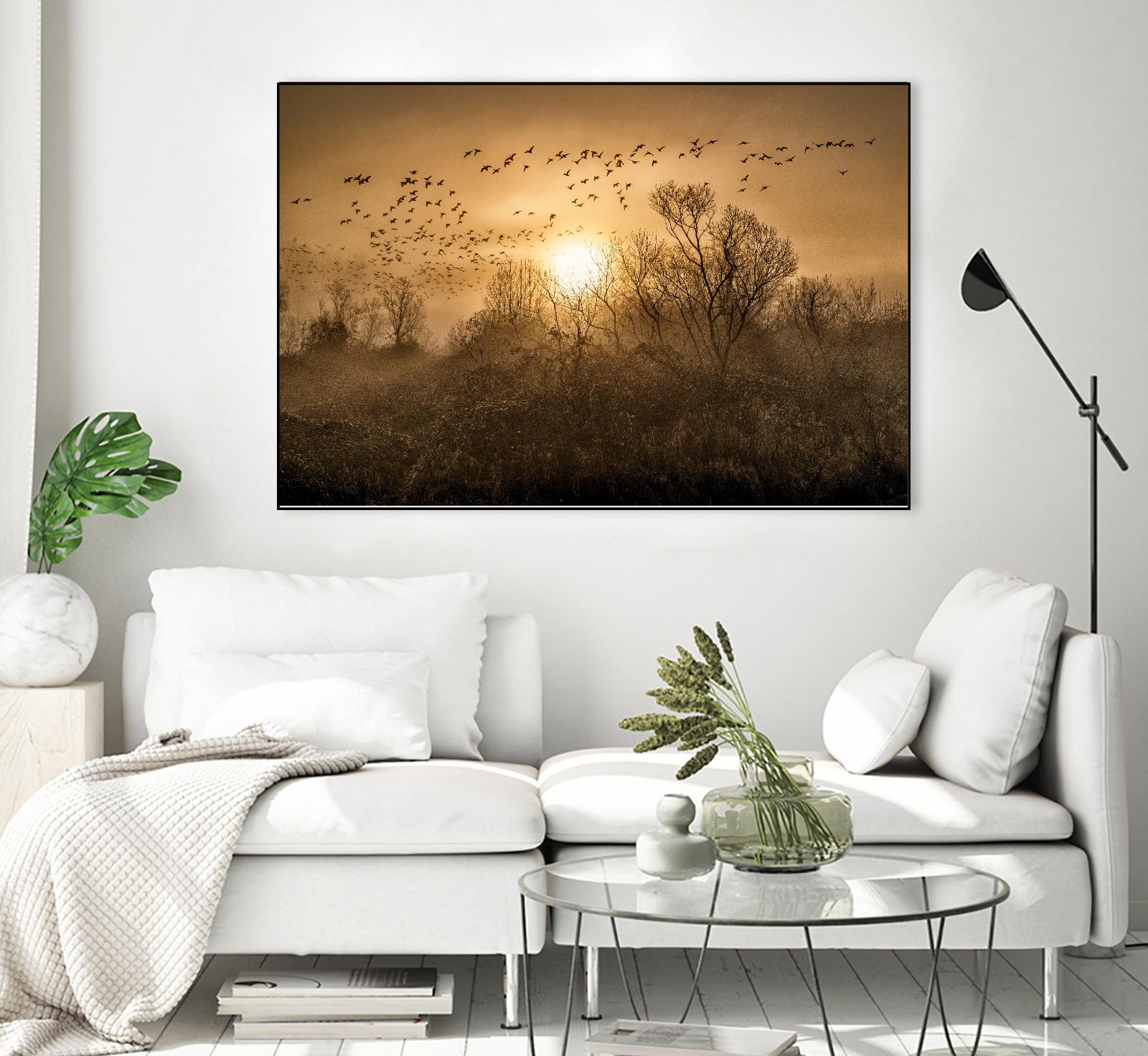 The Flight by Vladimir Kostka on GIANT ART - multicolor photography; landscapes