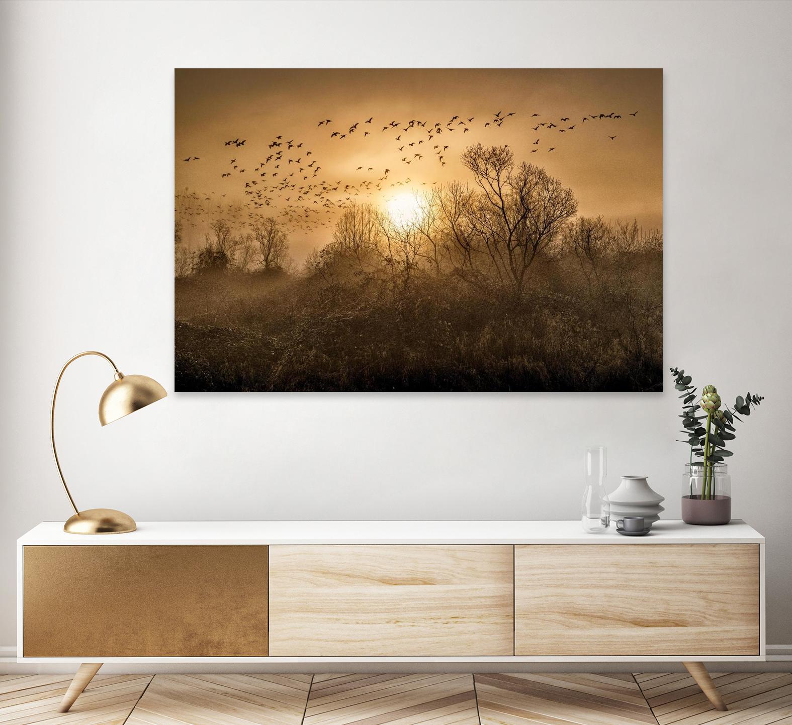 The Flight by Vladimir Kostka on GIANT ART - multicolor photography; landscapes