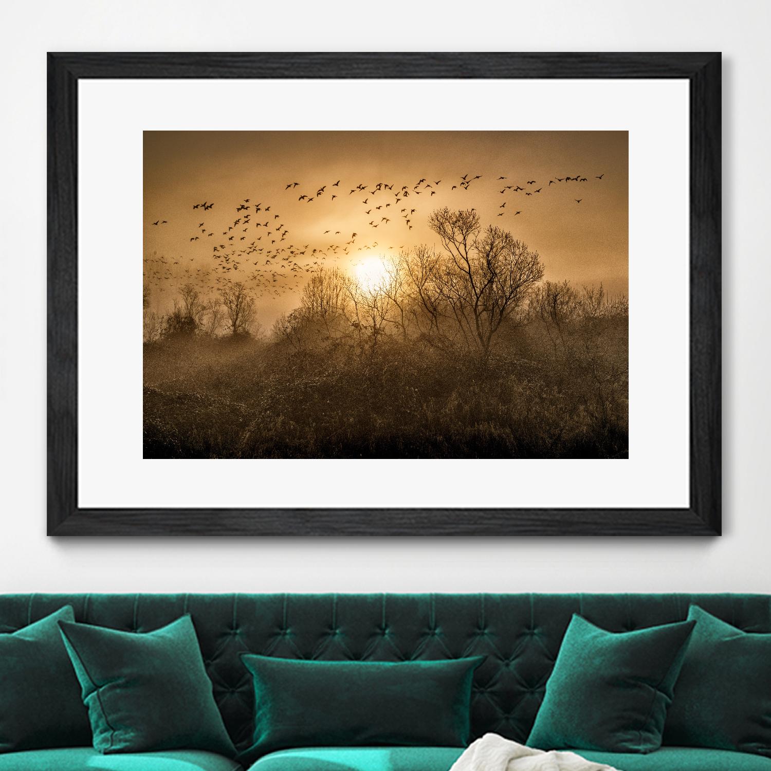 The Flight by Vladimir Kostka on GIANT ART - multicolor photography; landscapes