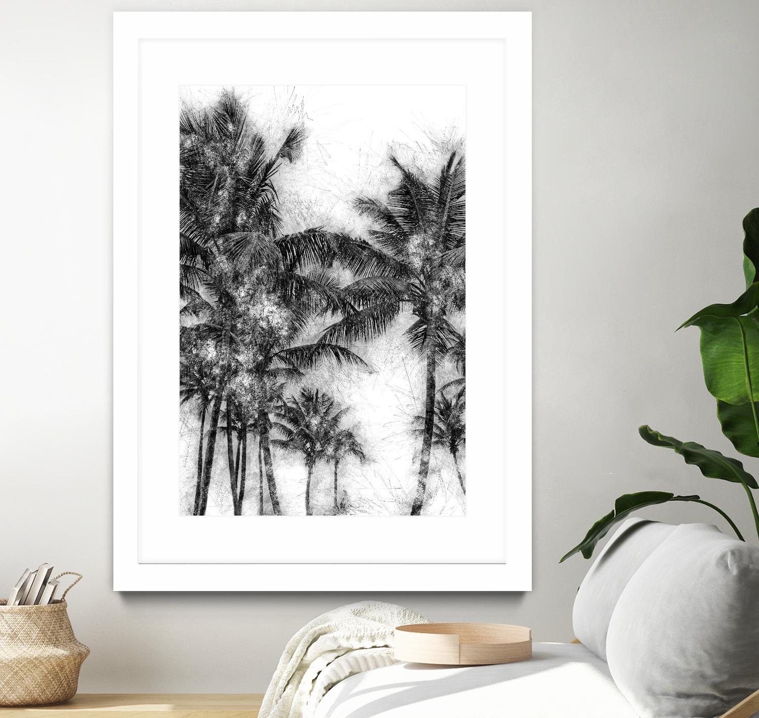 Dorado Palms 1 by Golie Miamee on GIANT ART - multicolor photography; landscapes