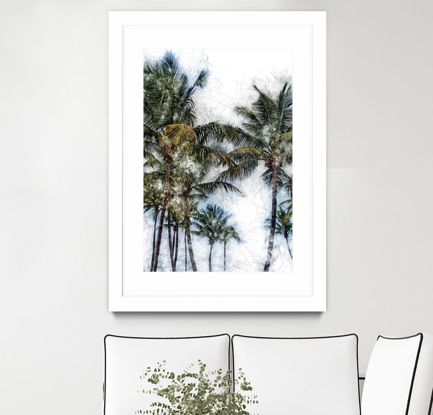 Dorado Palms 2 by Golie Miamee on GIANT ART - multicolor photography; landscapes