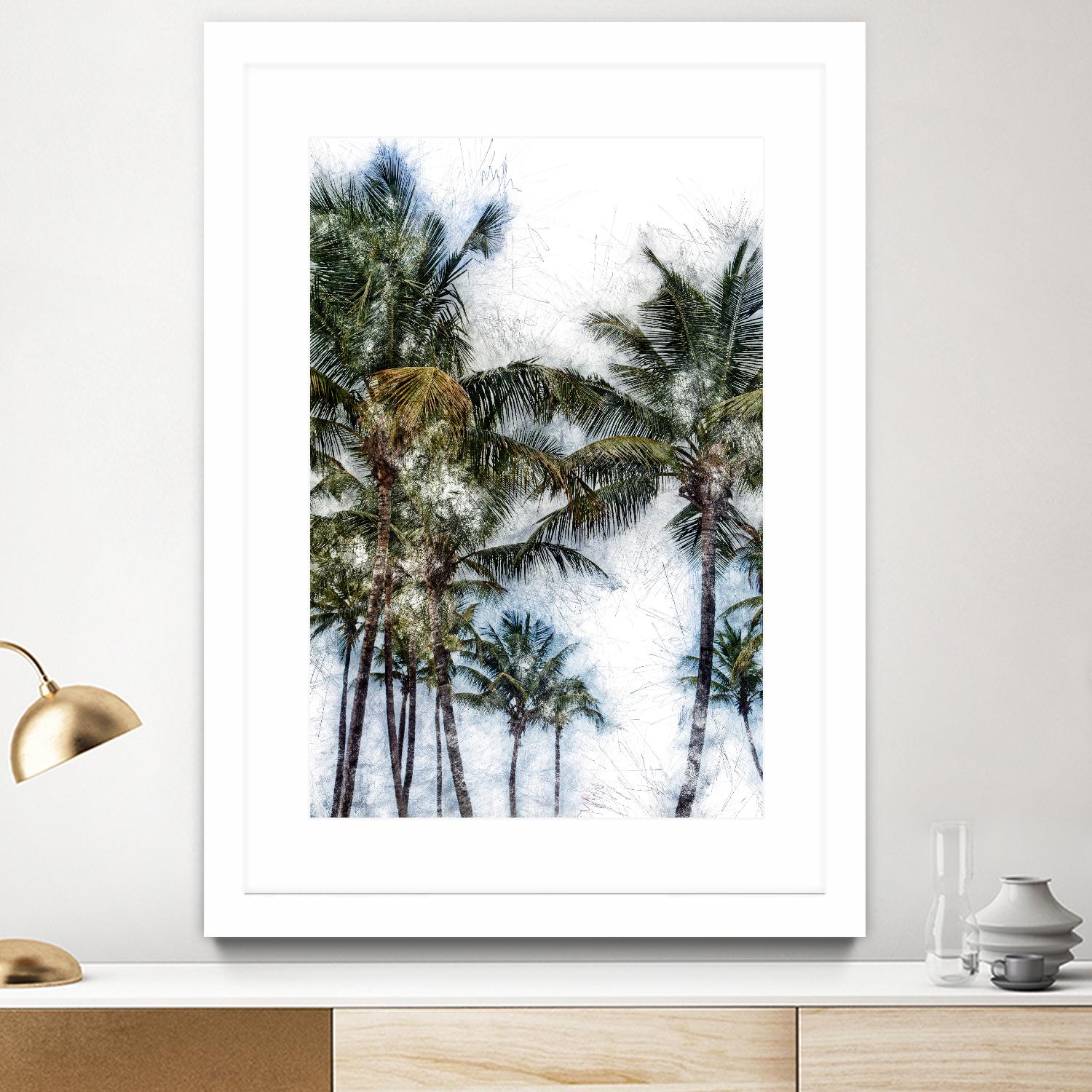 Dorado Palms 2 by Golie Miamee on GIANT ART - multicolor photography; landscapes