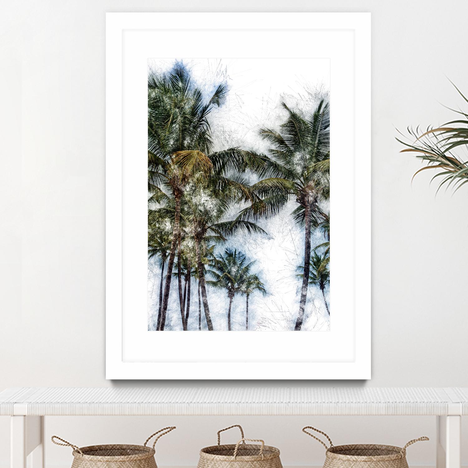 Dorado Palms 2 by Golie Miamee on GIANT ART - multicolor photography; landscapes