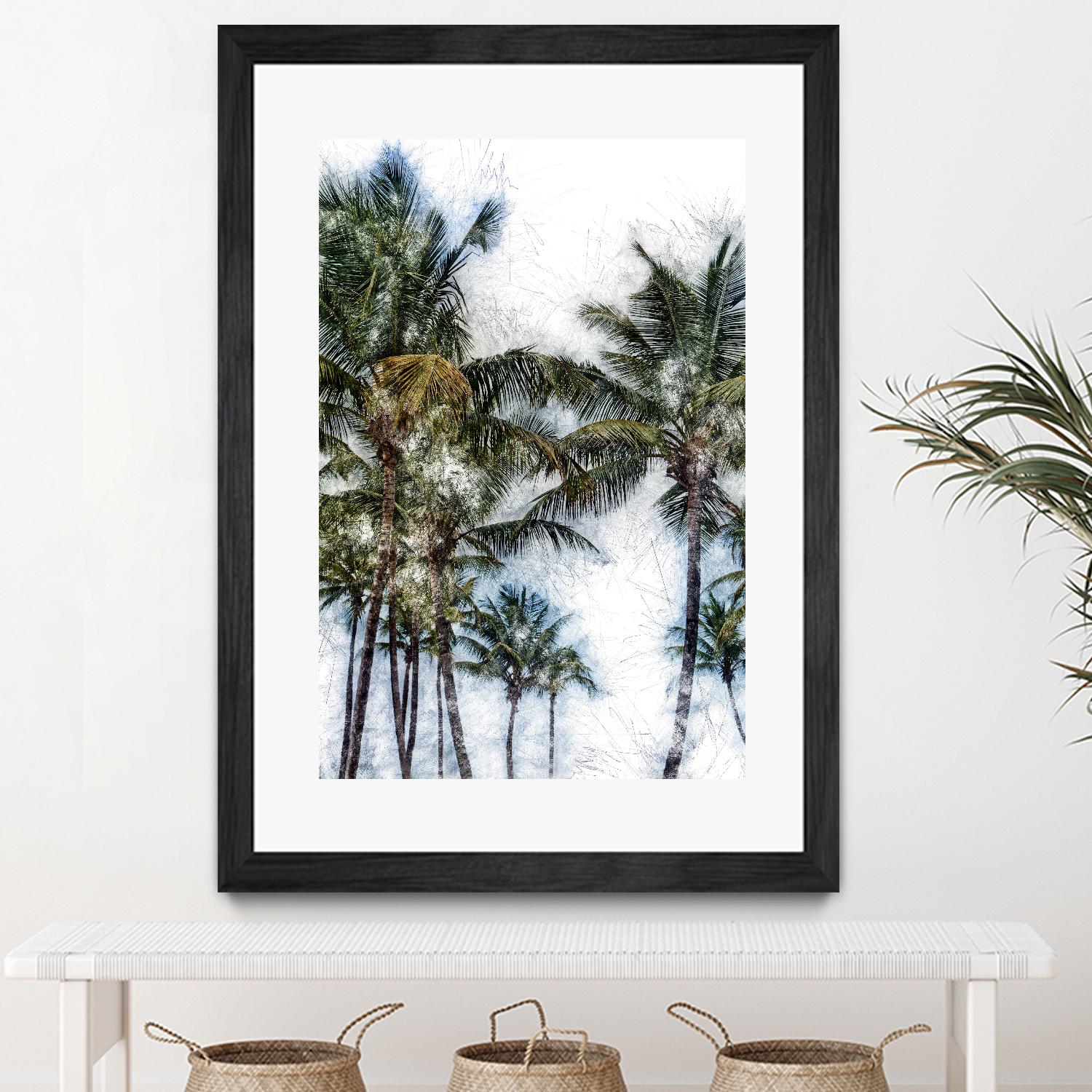 Dorado Palms 2 by Golie Miamee on GIANT ART - multicolor photography; landscapes