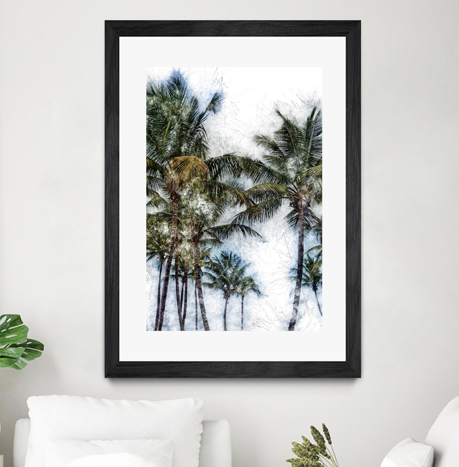 Dorado Palms 2 by Golie Miamee on GIANT ART - multicolor photography; landscapes
