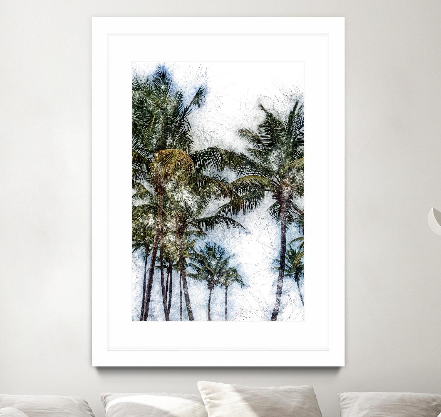 Dorado Palms 2 by Golie Miamee on GIANT ART - multicolor photography; landscapes
