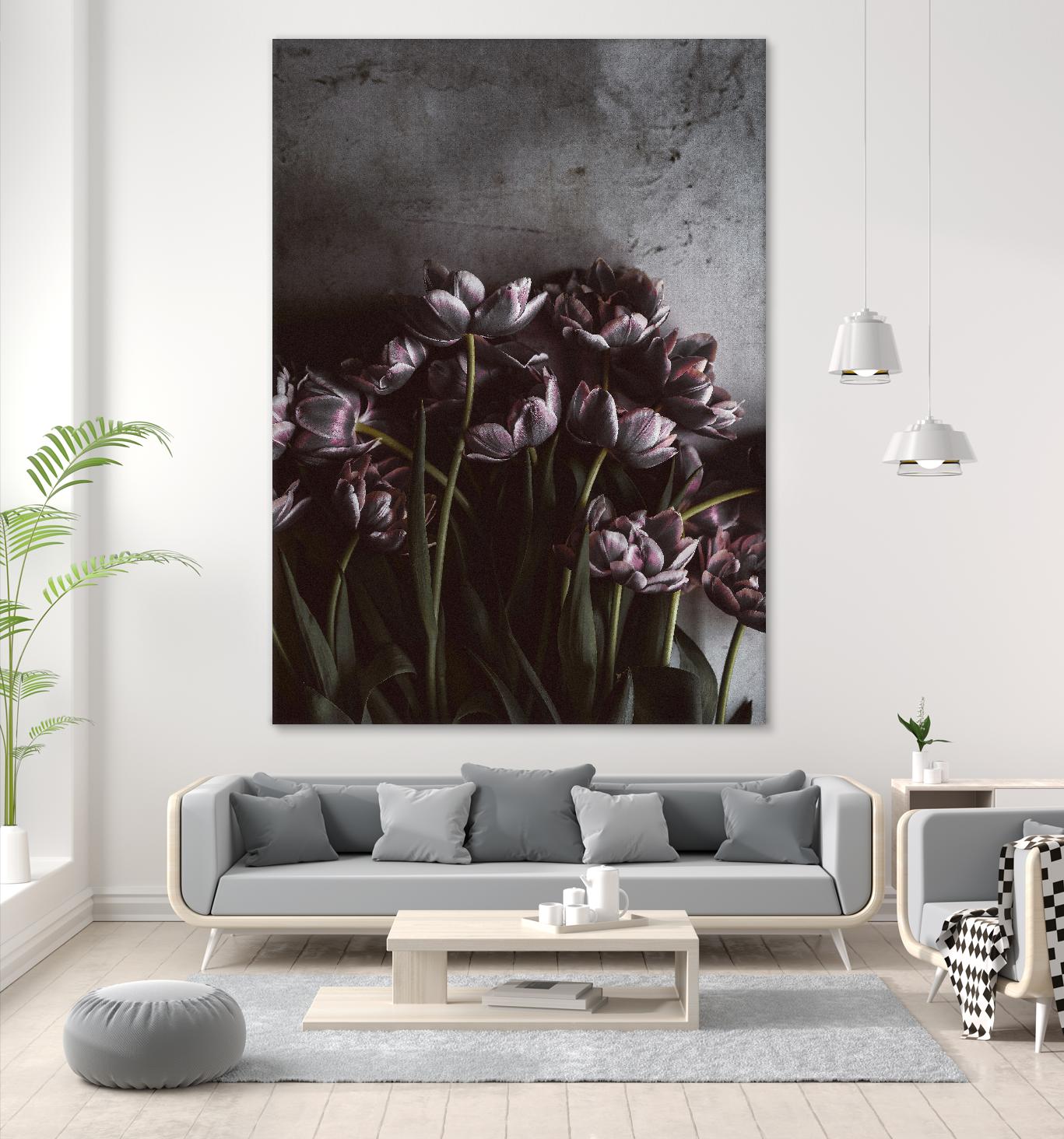 Dark Tulips by Design Fabrikken on GIANT ART - multi floral/still life, photography, flowers, tulips