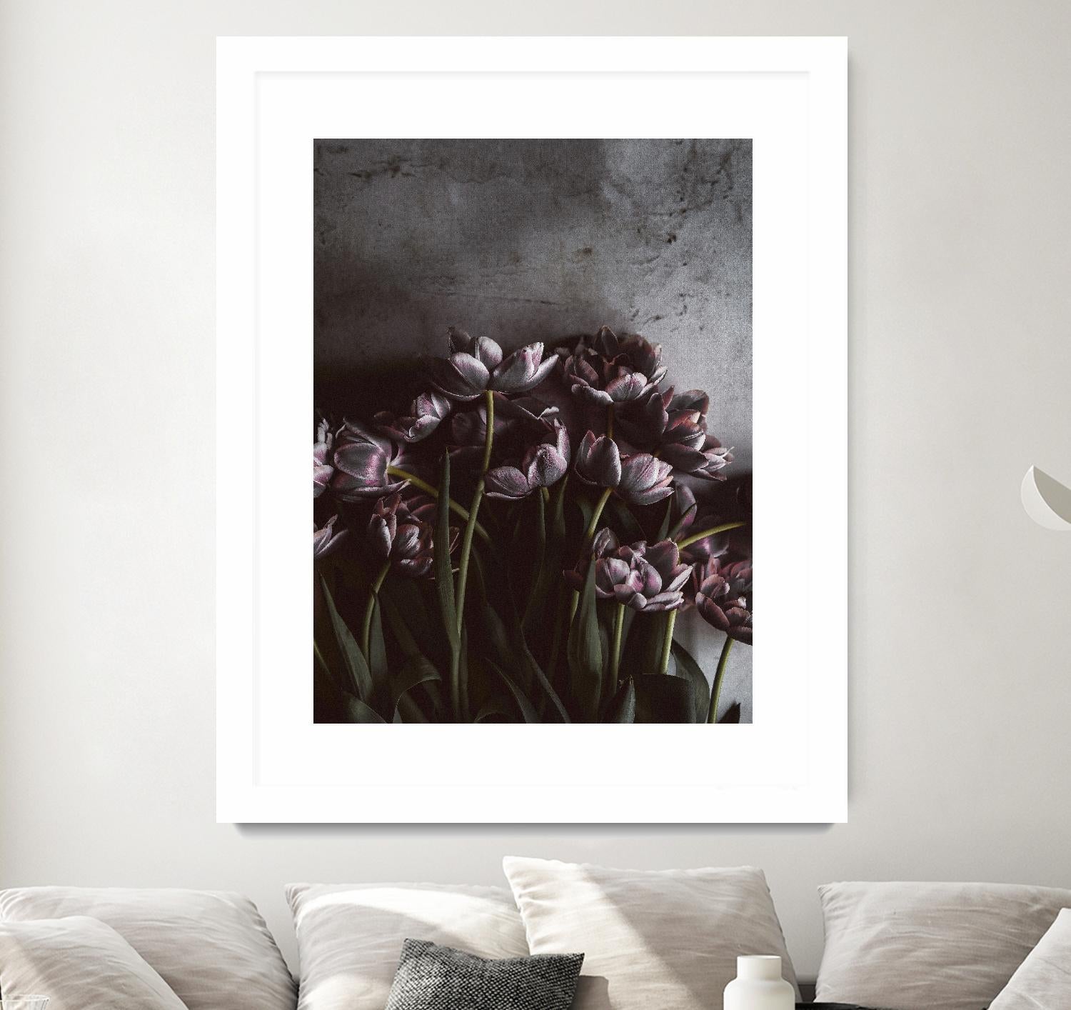 Dark Tulips by Design Fabrikken on GIANT ART - multi floral/still life, photography, flowers, tulips