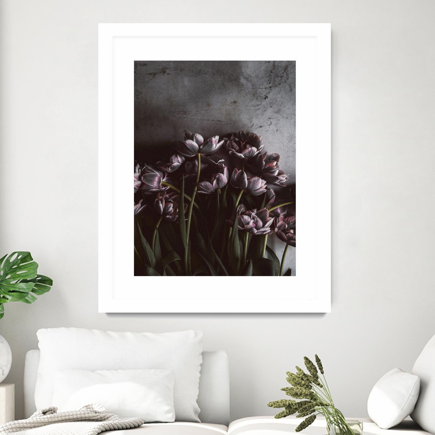 Dark Tulips by Design Fabrikken on GIANT ART - multi floral/still life, photography, flowers, tulips