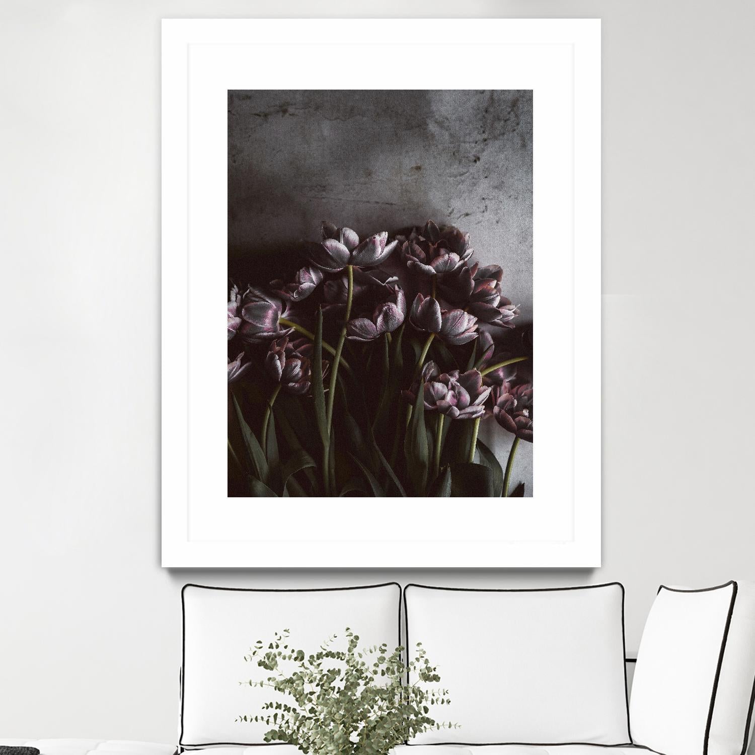 Dark Tulips by Design Fabrikken on GIANT ART - multi floral/still life, photography, flowers, tulips