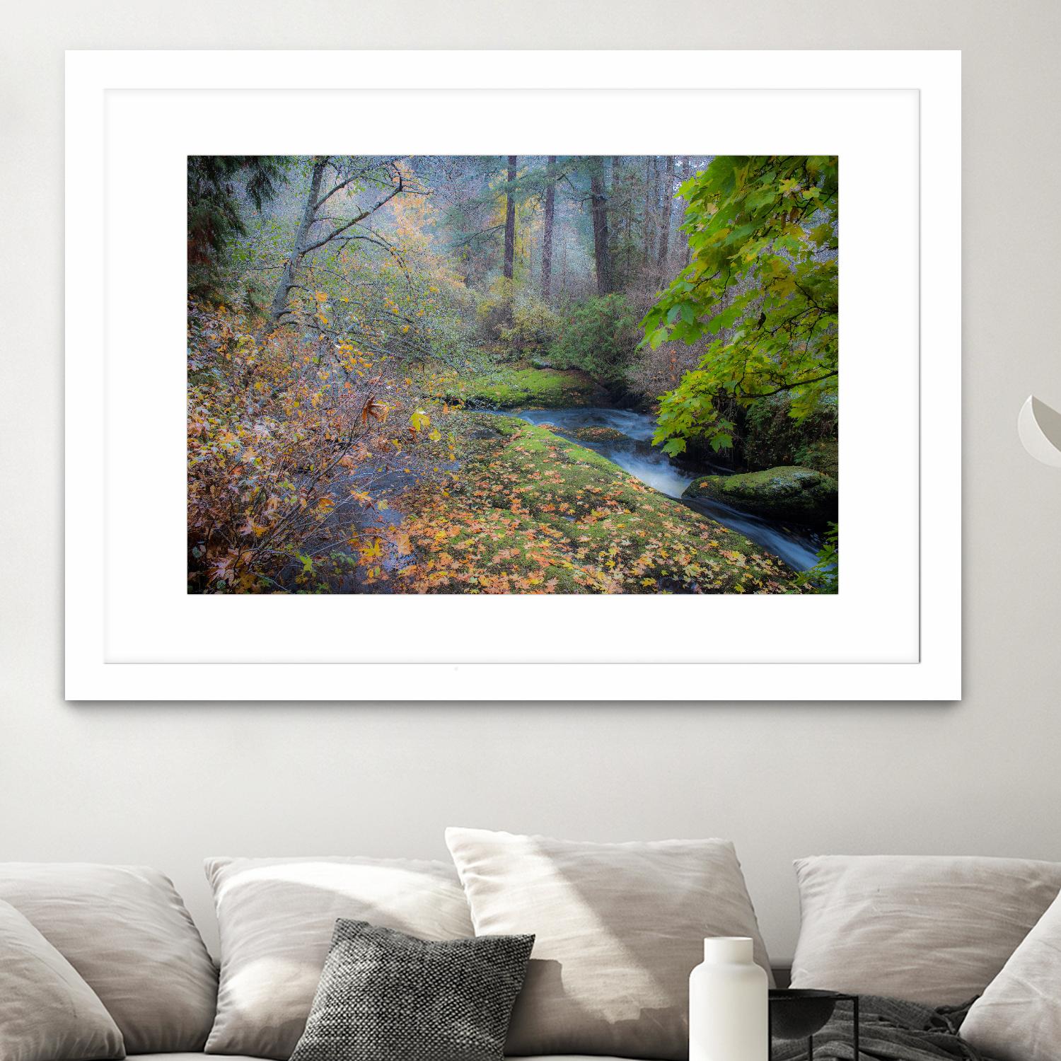 Snow in Fall by Tim Oldford on GIANT ART - multicolor photography; landscapes