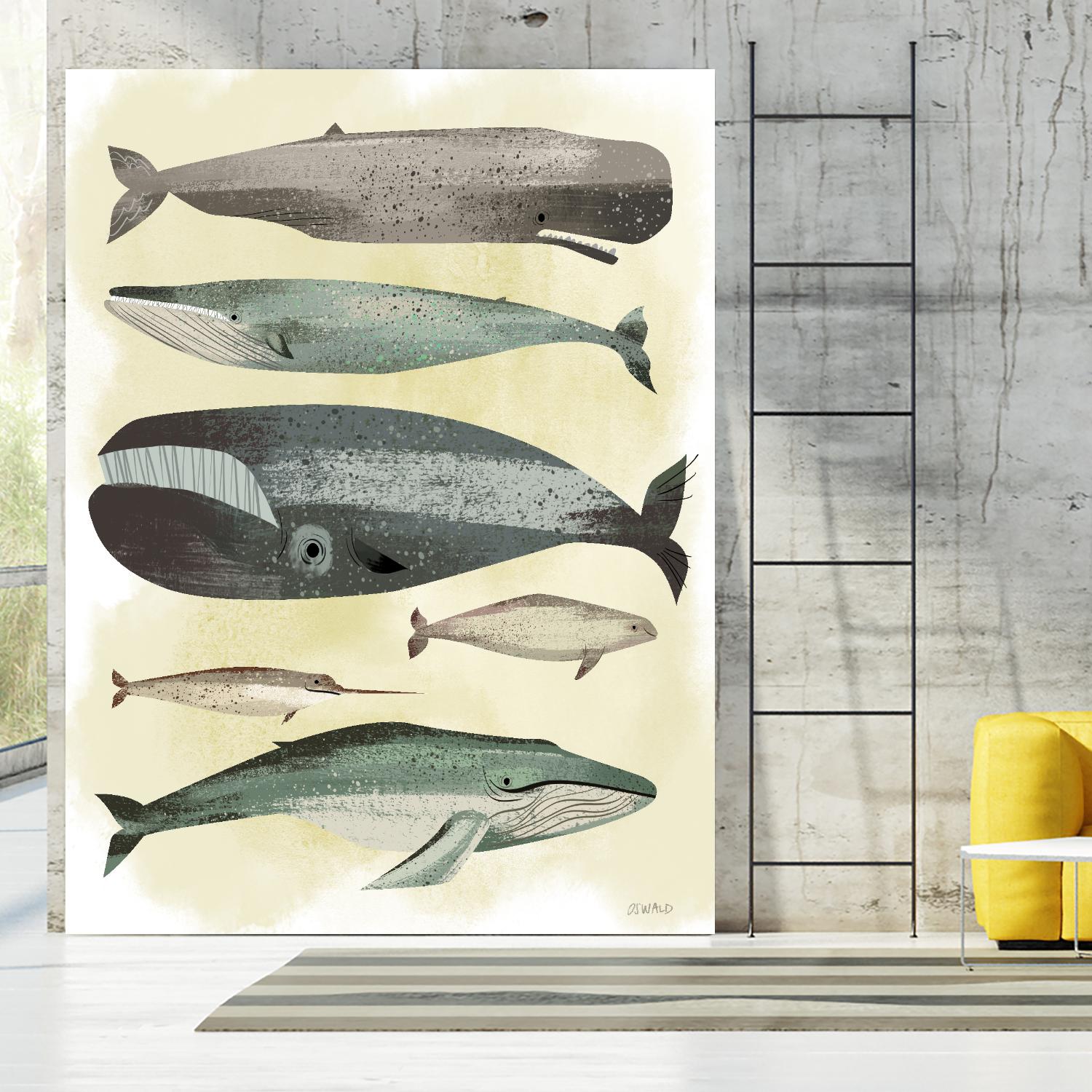 Whales by Pete Oswald on GIANT ART - multicolor animals