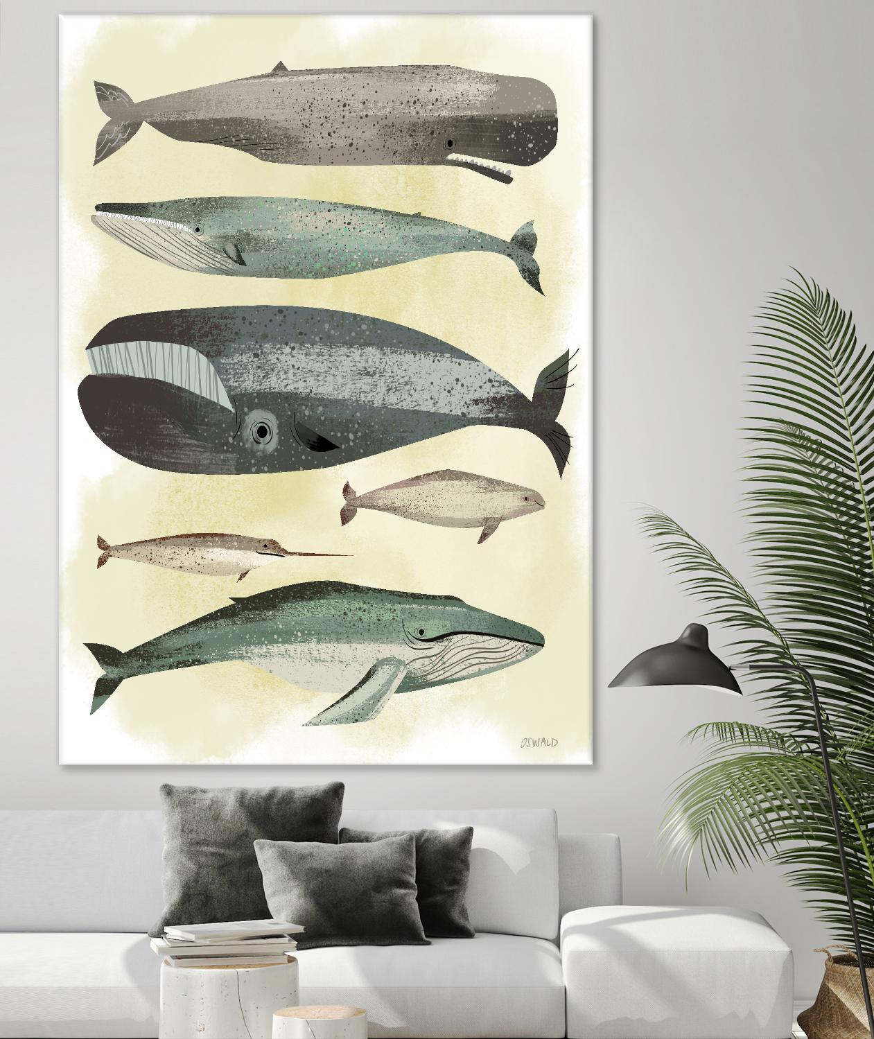 Whales by Pete Oswald on GIANT ART - multicolor animals