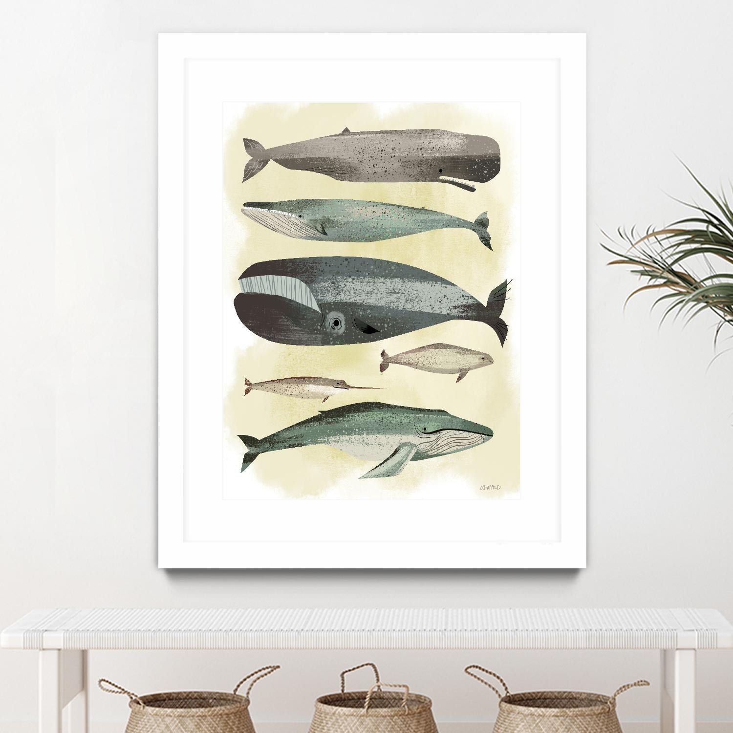 Whales by Pete Oswald on GIANT ART - multicolor animals