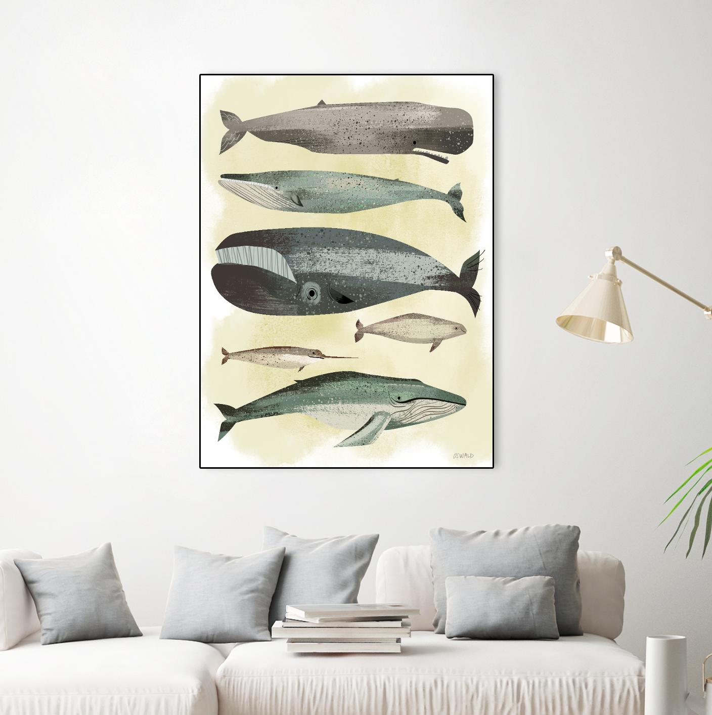 Whales by Pete Oswald on GIANT ART - multicolor animals