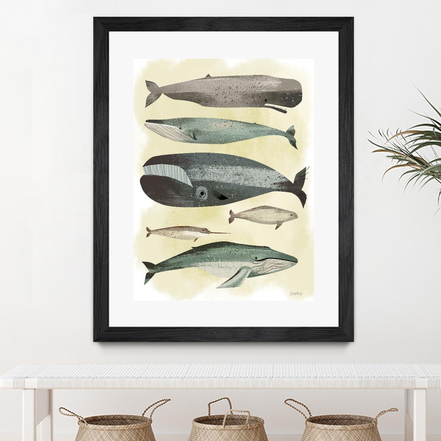 Whales by Pete Oswald on GIANT ART - multicolor animals