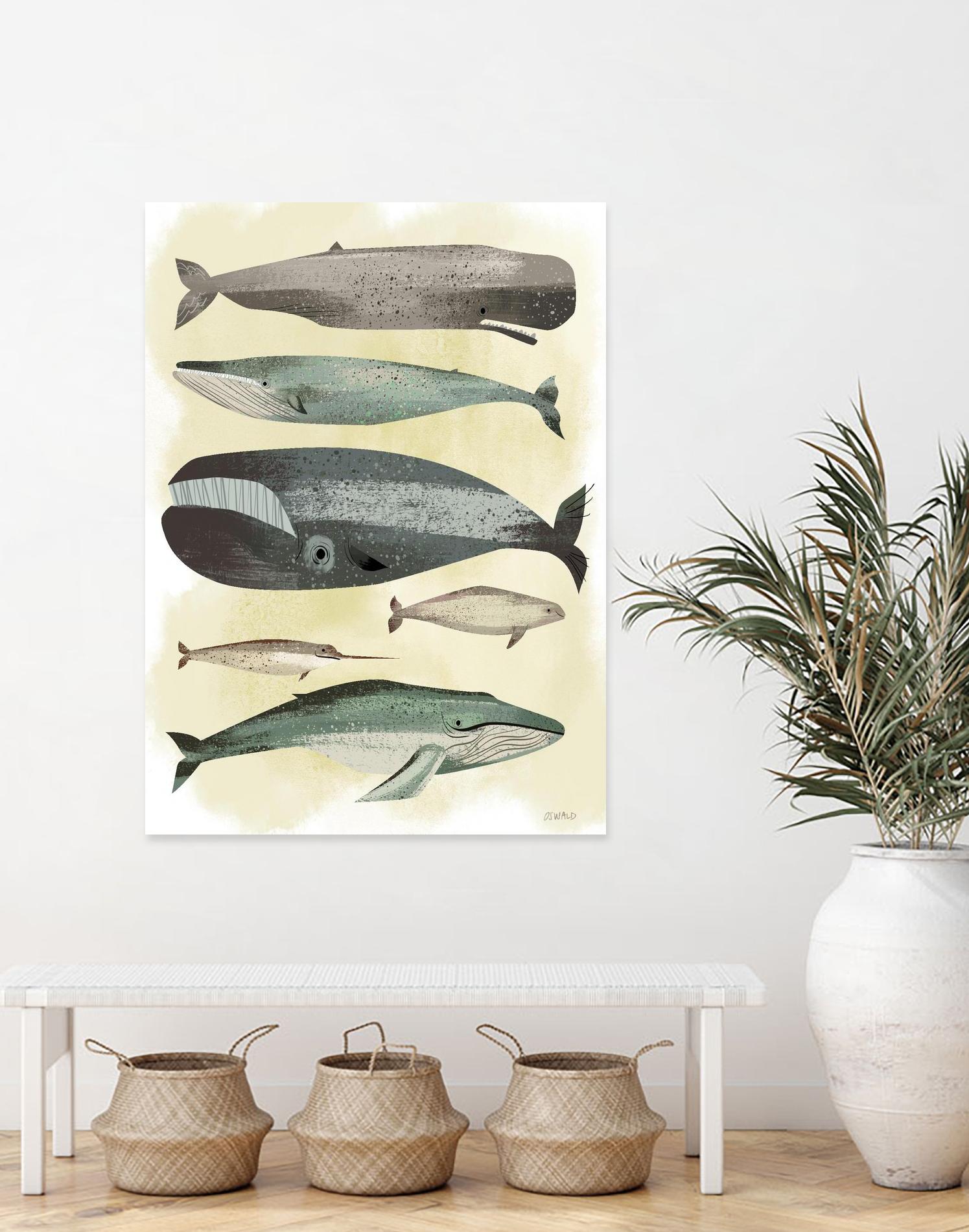 Whales by Pete Oswald on GIANT ART - multicolor animals