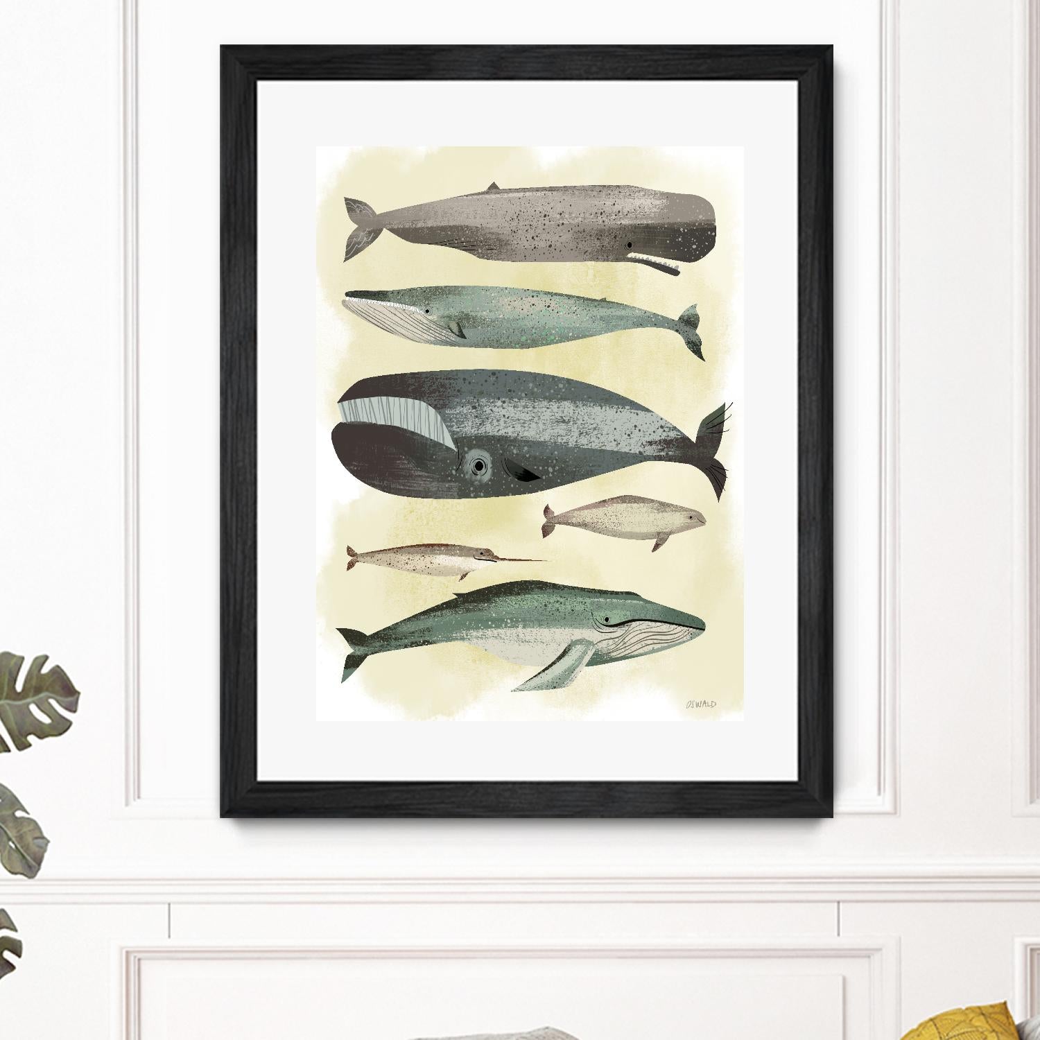 Whales by Pete Oswald on GIANT ART - multicolor animals